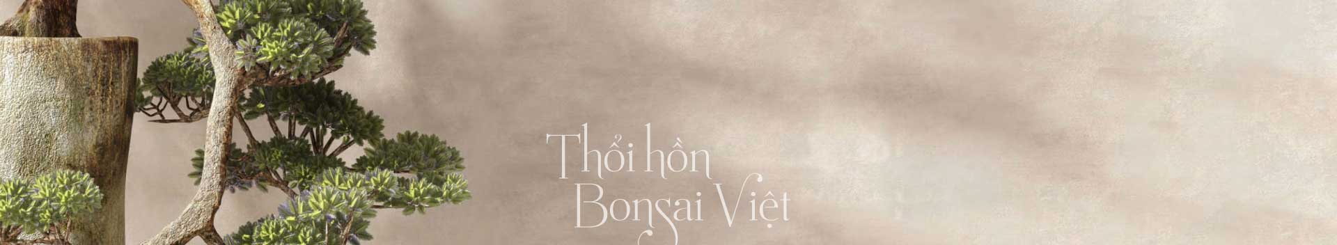LINH SAM TÙNG NGUYÊN