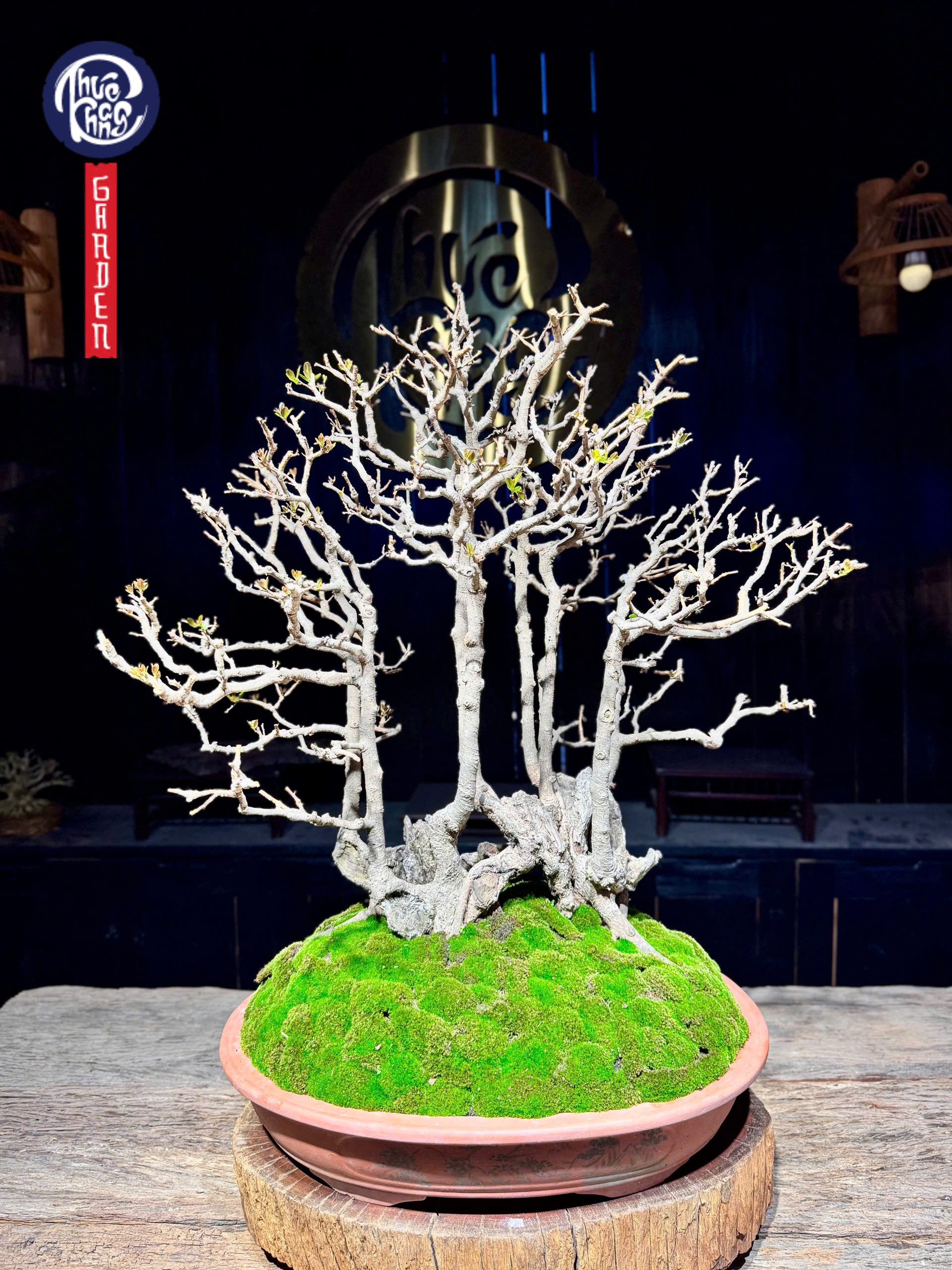 z6493095581734_9ecf2366609c1274fd90d2fae42c5b90