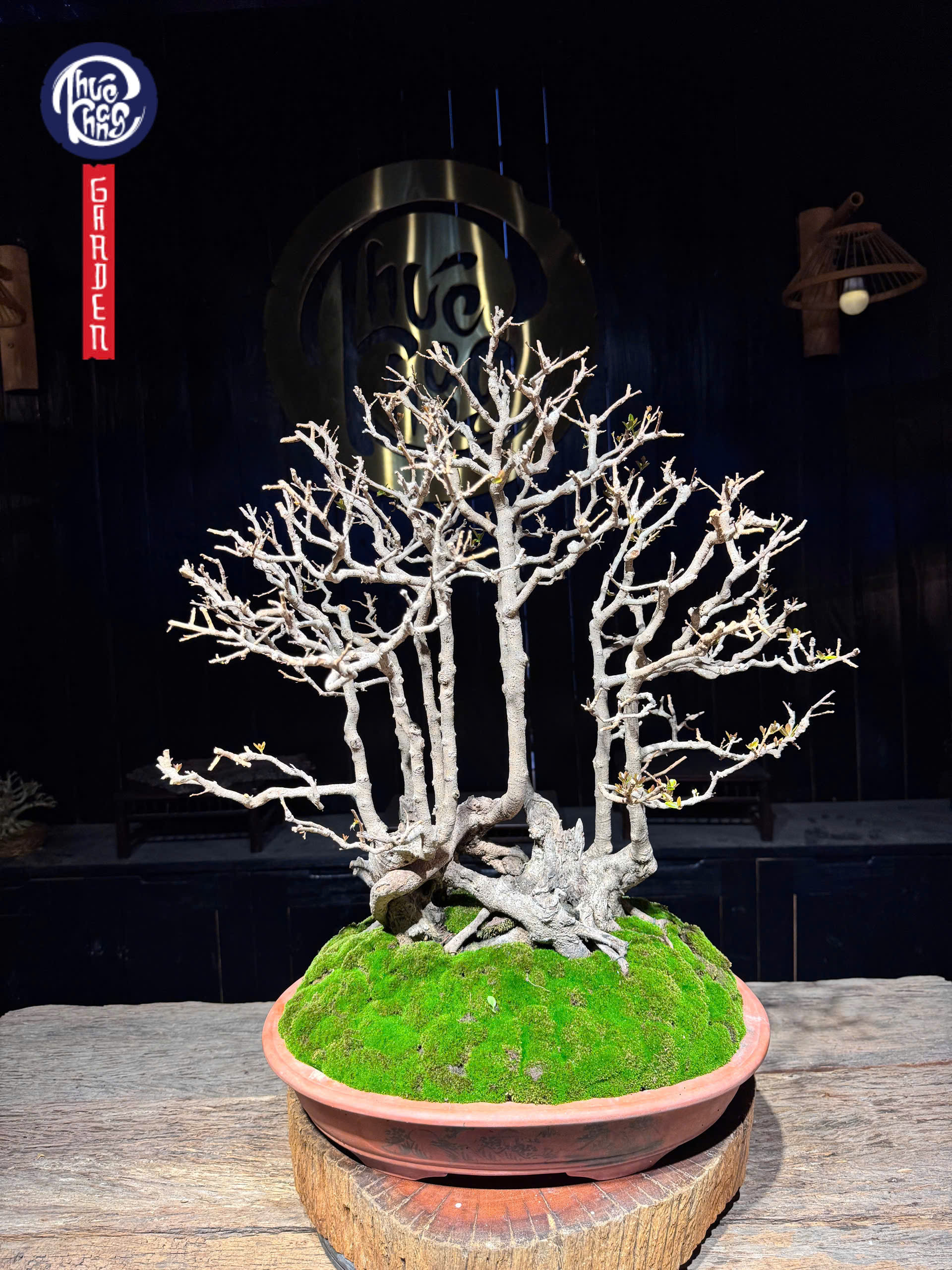 z6493095584642_83ae89187c8bc853b8e26ec5a1791b1c