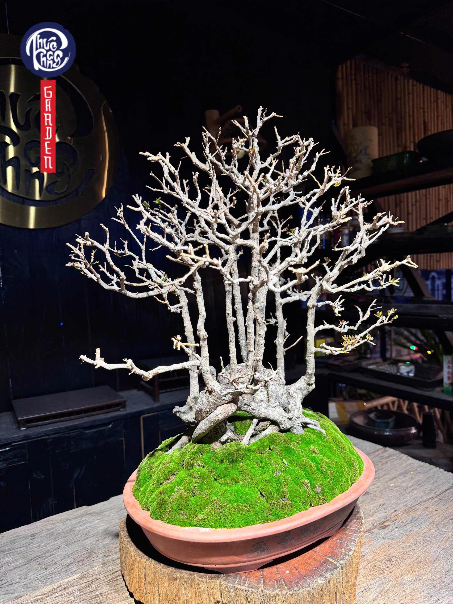 z6493095587058_3295340dd87f85e3869788fa6f21edd4