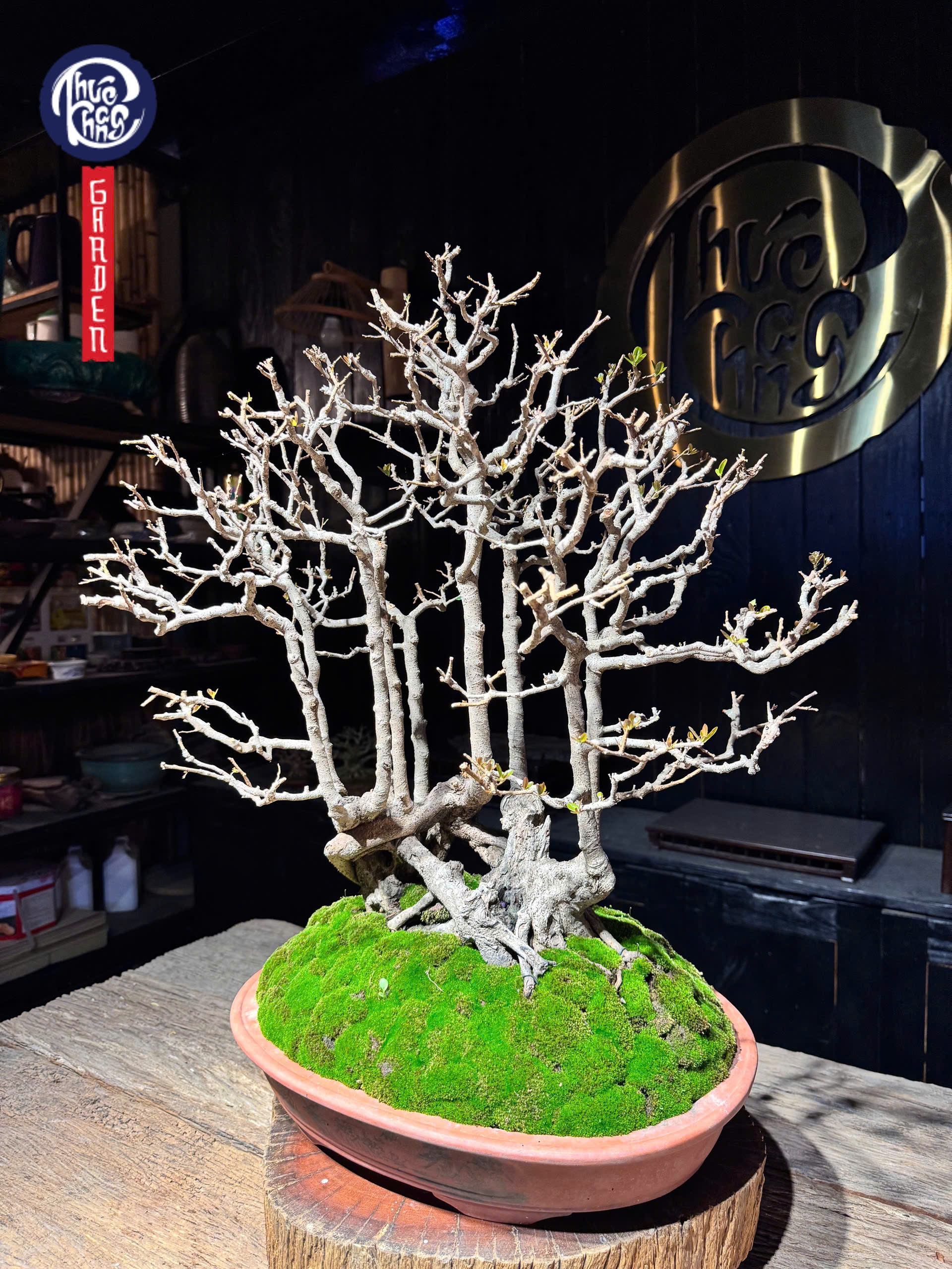 z6493095589881_5690c6e6601ed7f44374792b33c1c932