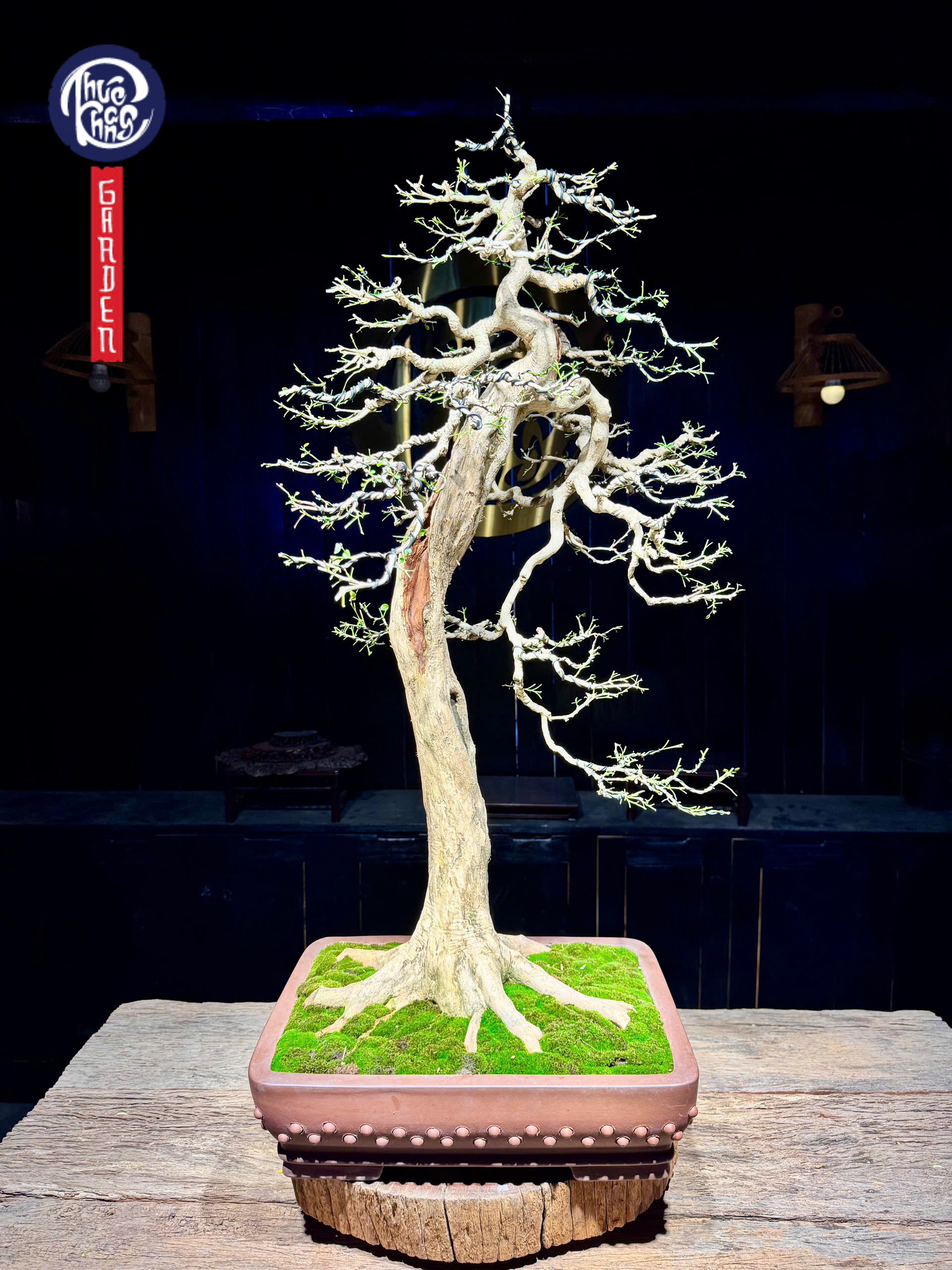 z6493097409335_4c8c4fe1edc8a01de1e8419839c22e03