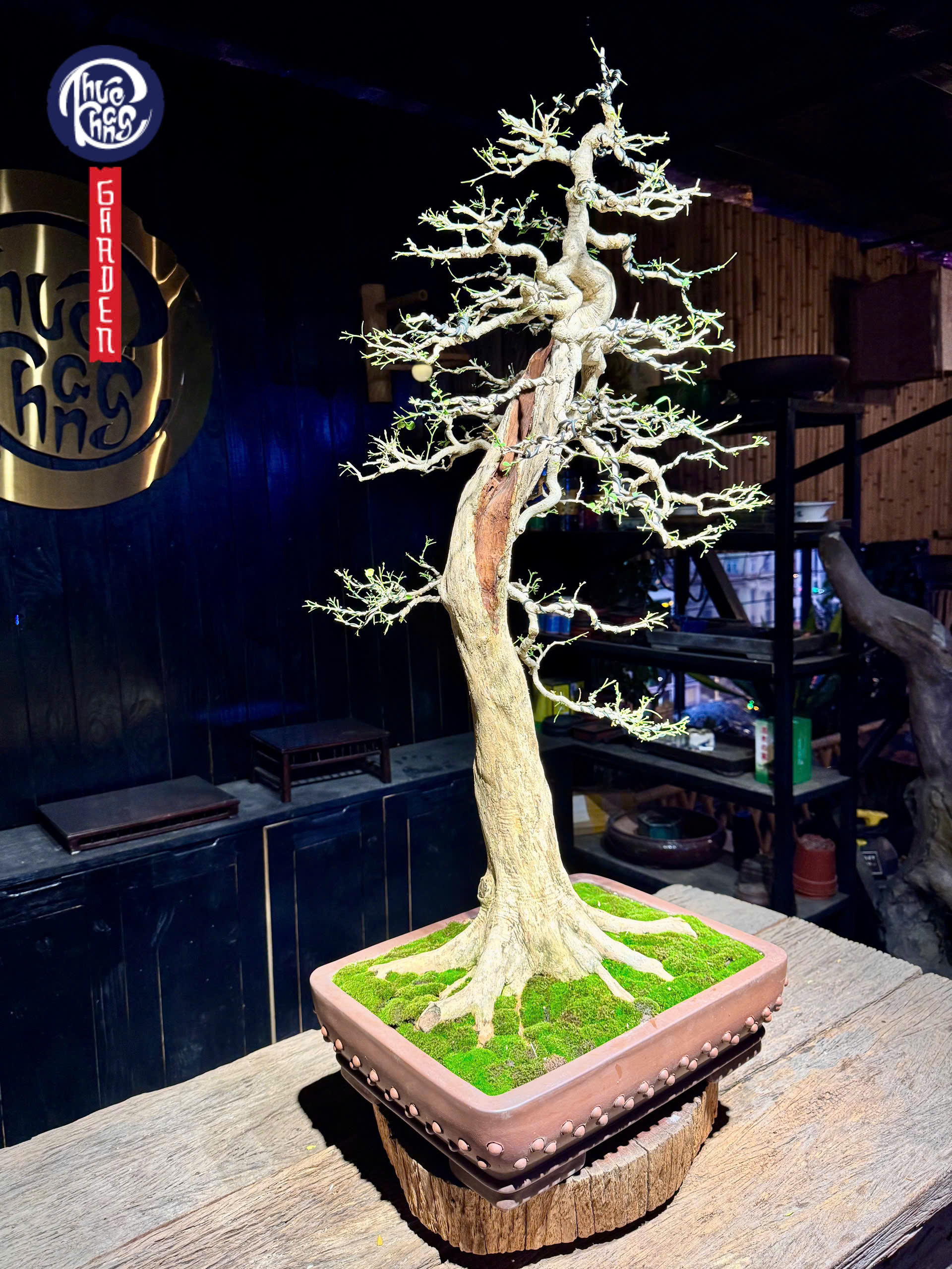 z6493097415010_d09c97fc123497dae7968281fb306abc