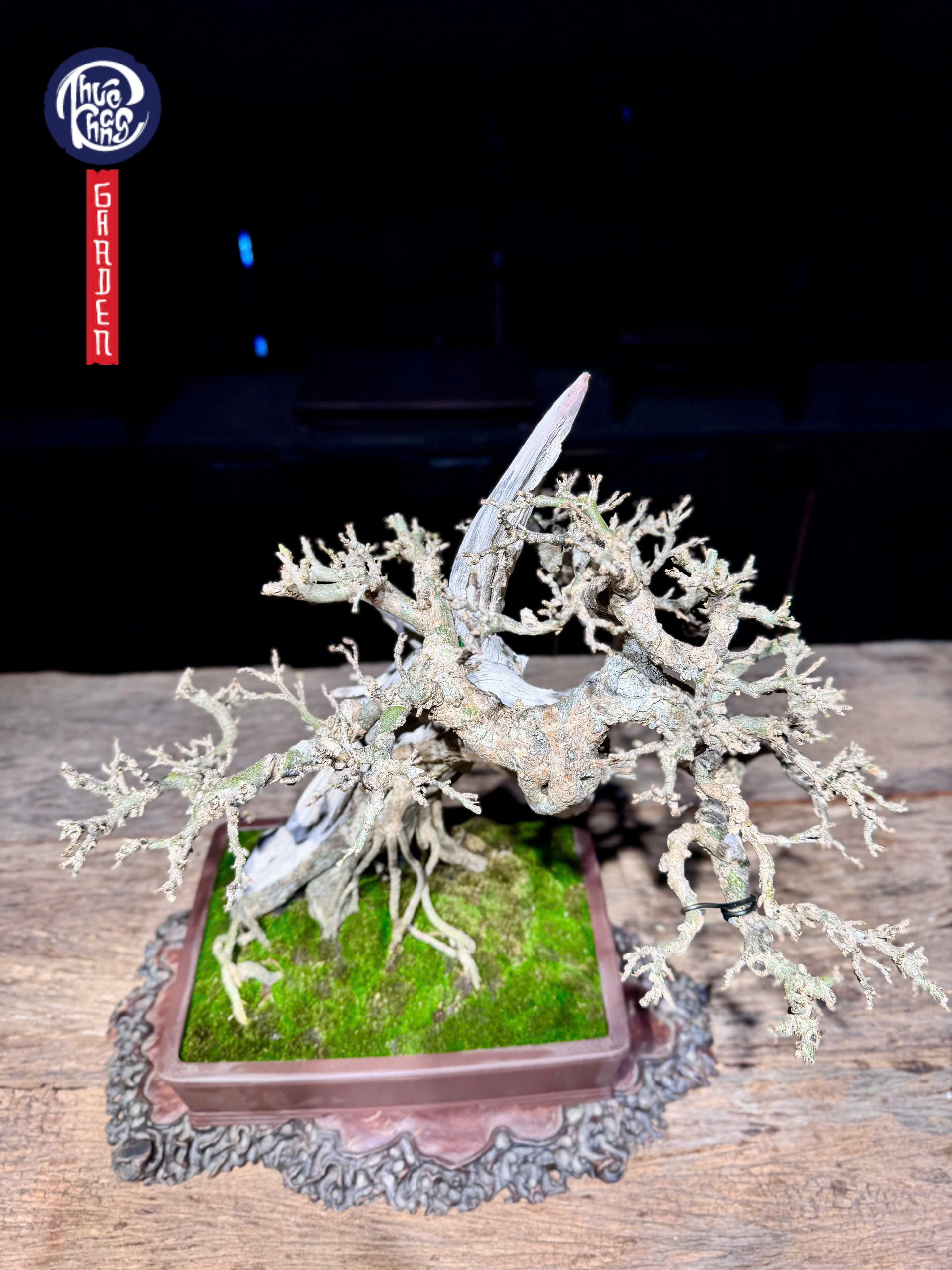 z6493098371264_762e93375347e8549a8608c707fca197