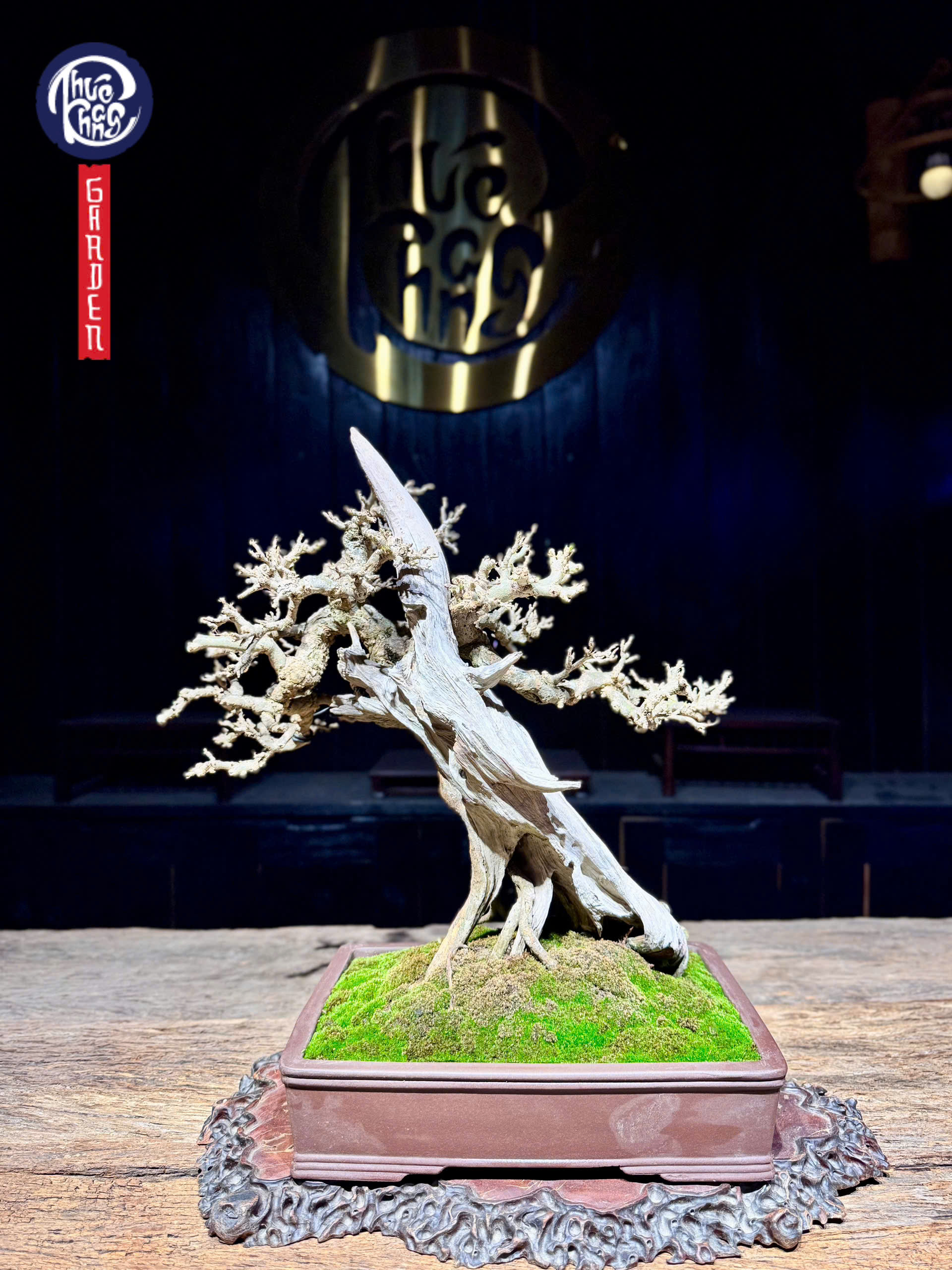 z6493098375454_d57f84892cf94d7f86c03b0cbb021c8a