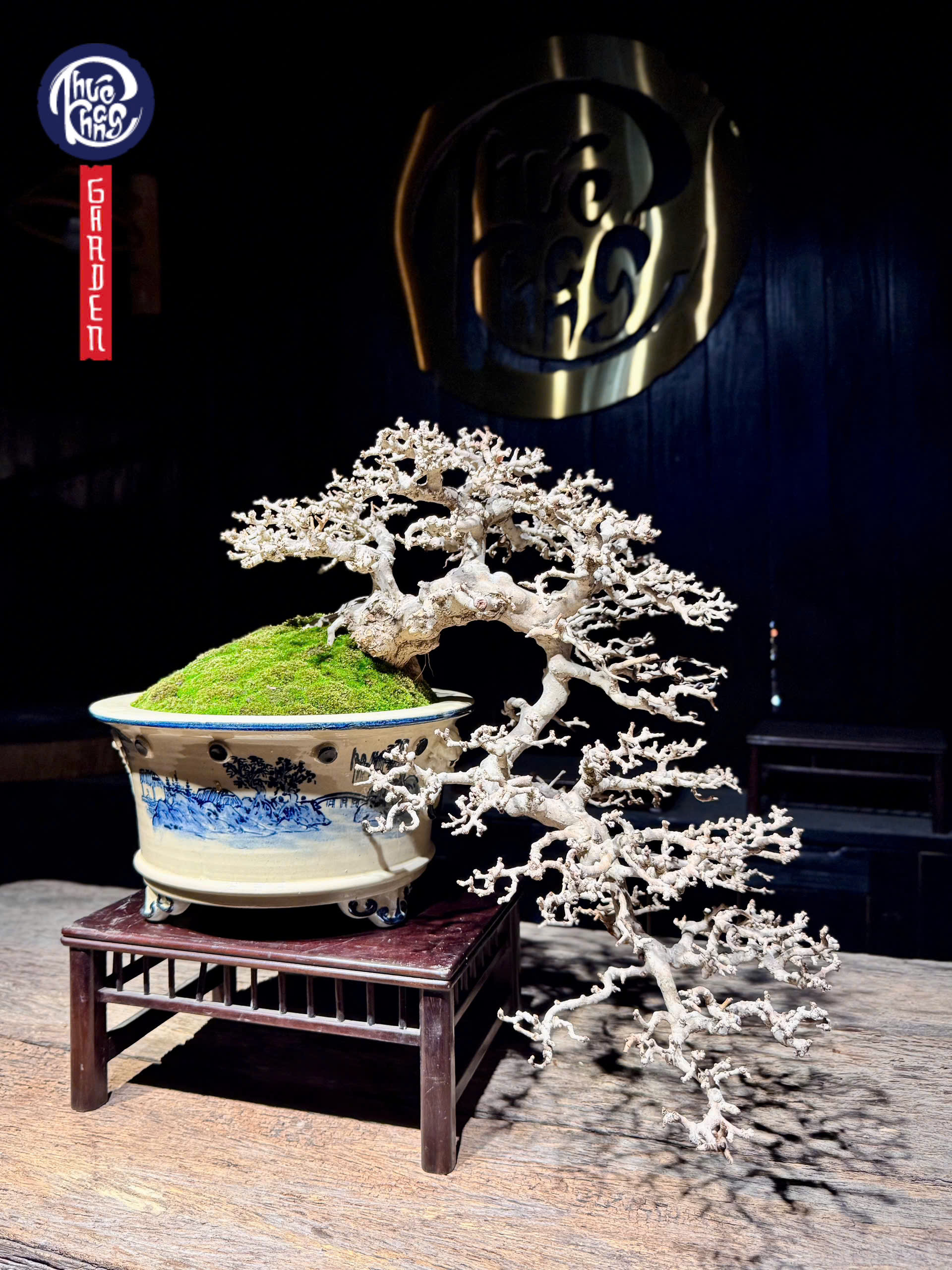 z6493101024829_62c9eb6e4124d46af4013b89ec2ab73c