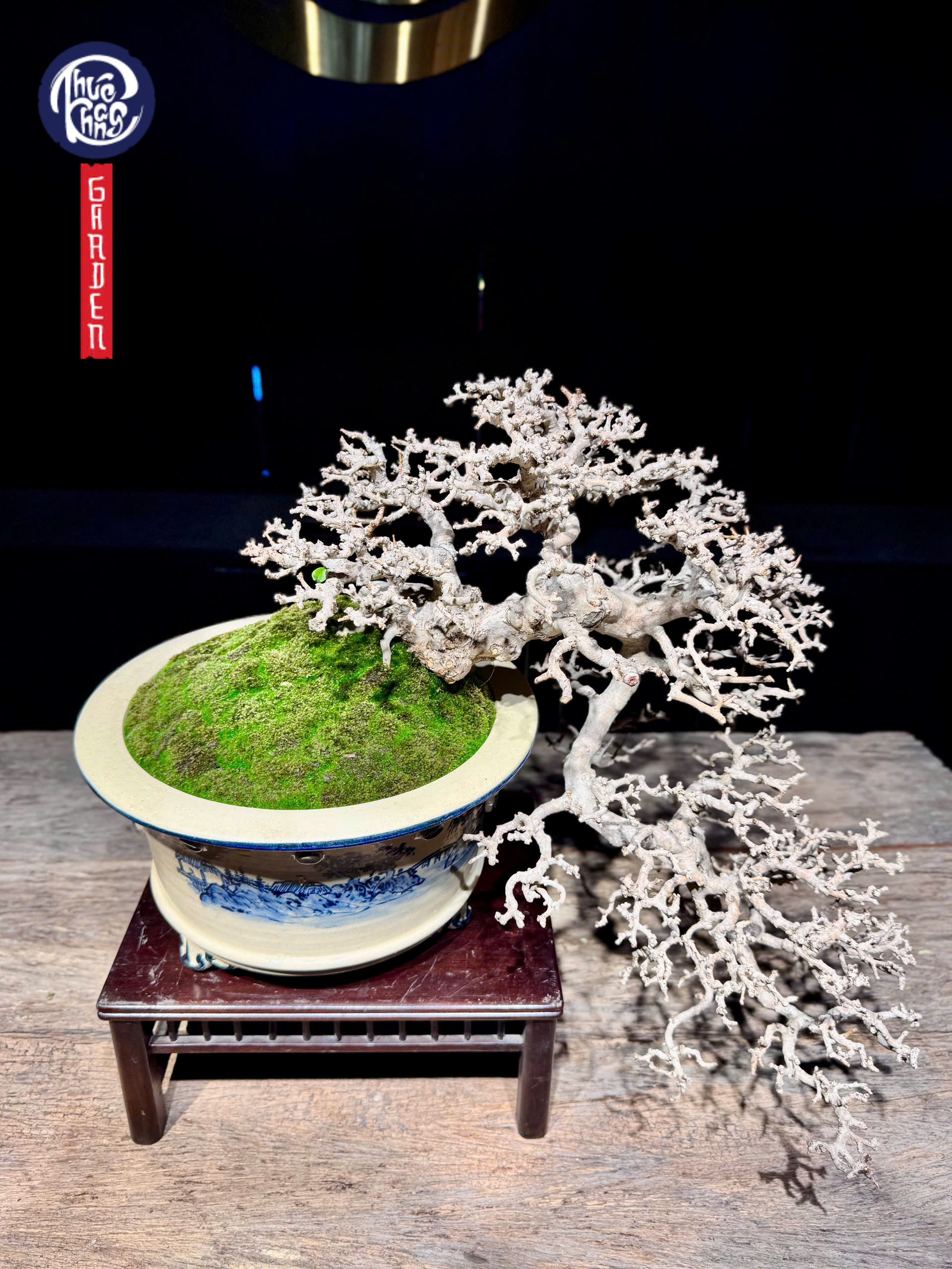 z6493101029437_af359287e59a13533a84b2ddffdb1424