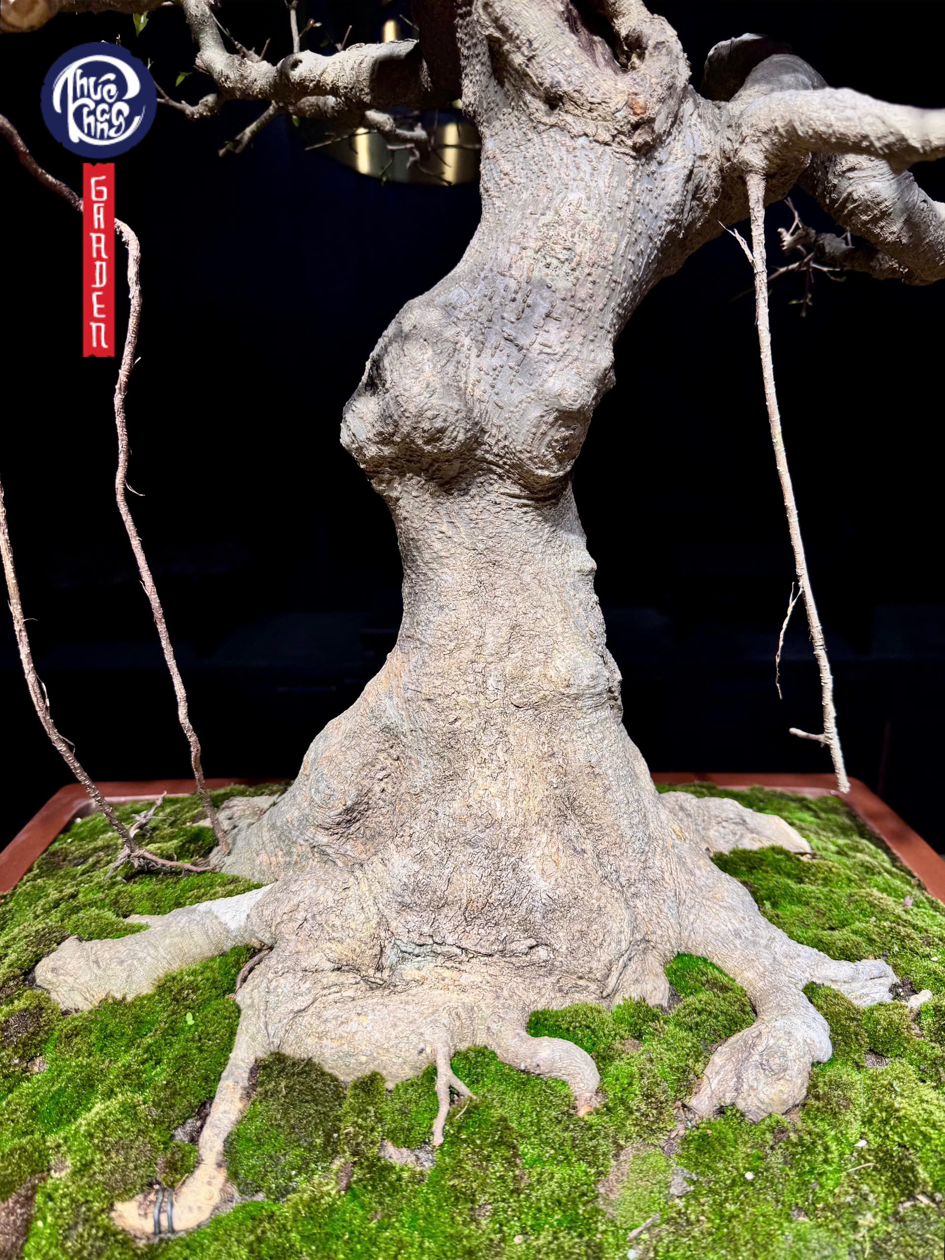 z6493106941812_9ebe4b2d46fc452baa2f7845b2c7c547