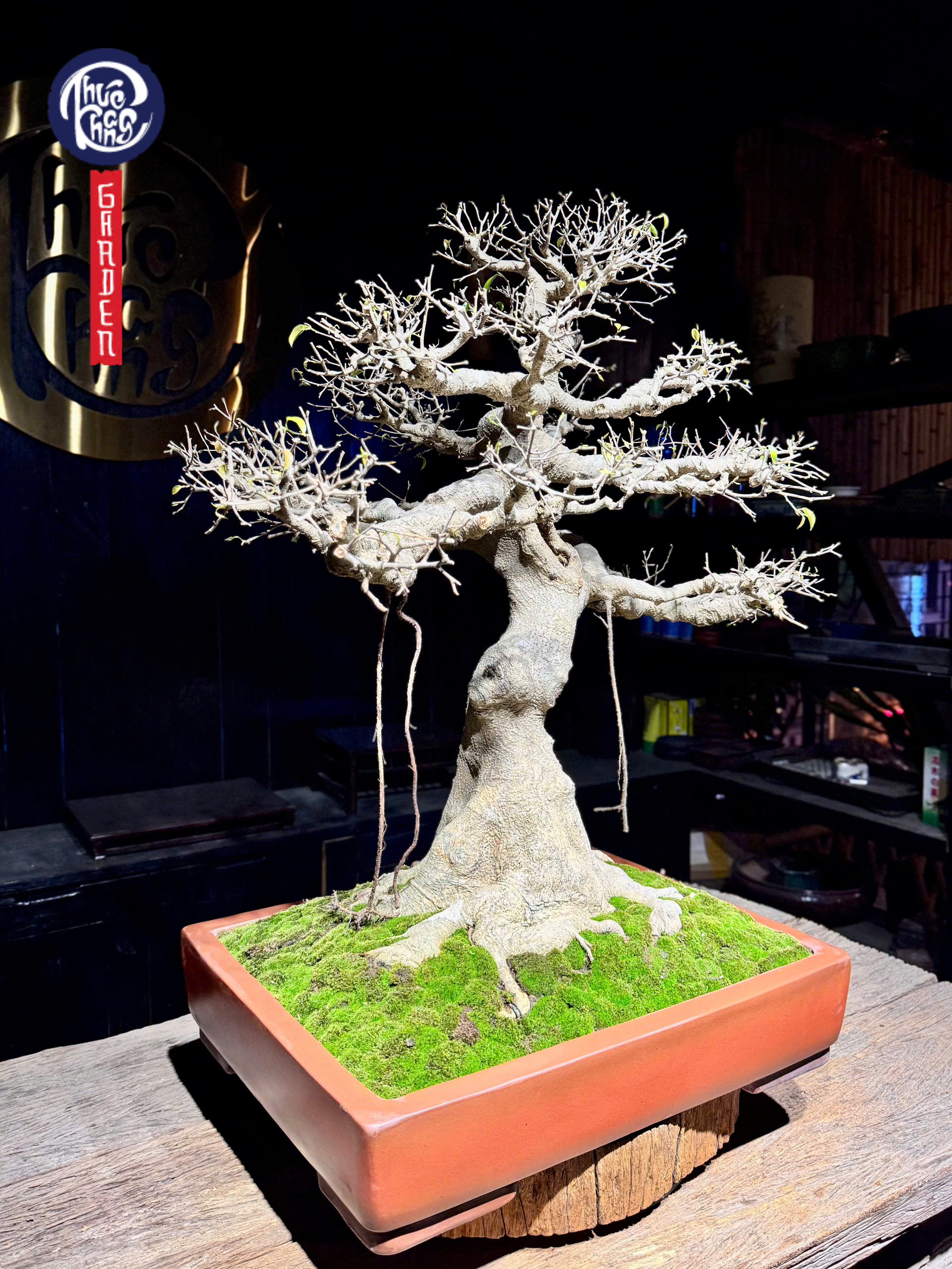 z6493119401564_5a730b3d6433145ac926754ef3ddbe5d