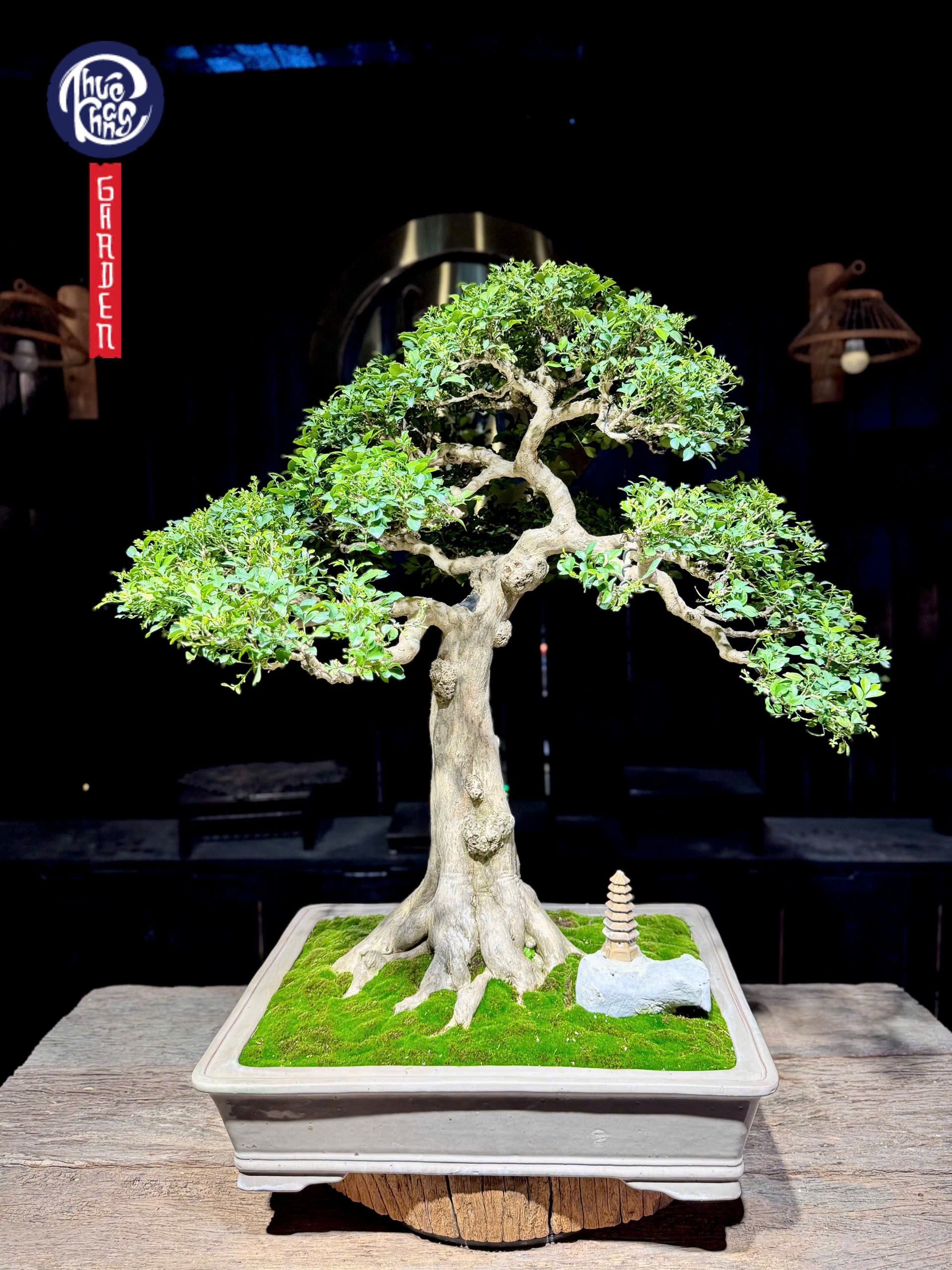 z6512179854913_826f90ffbfcfdbadd336218ad18362b5