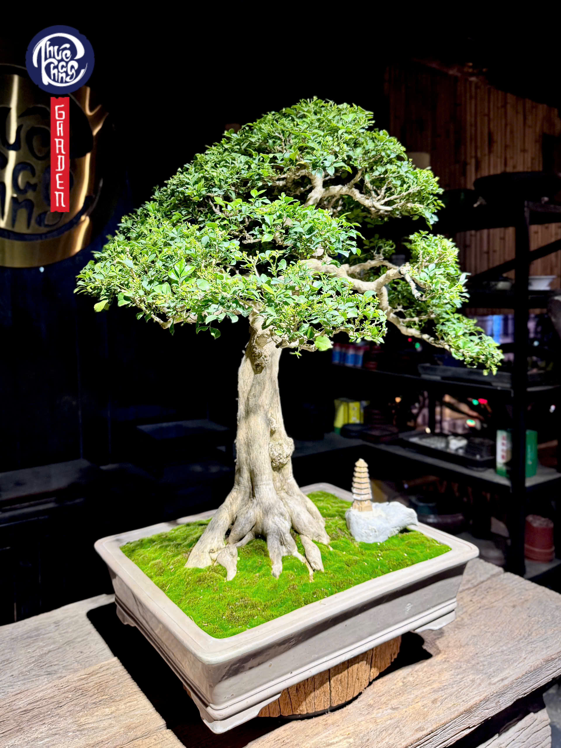 z6512179867788_743f2a4a9f77ec8ec60f4604ae4e118f