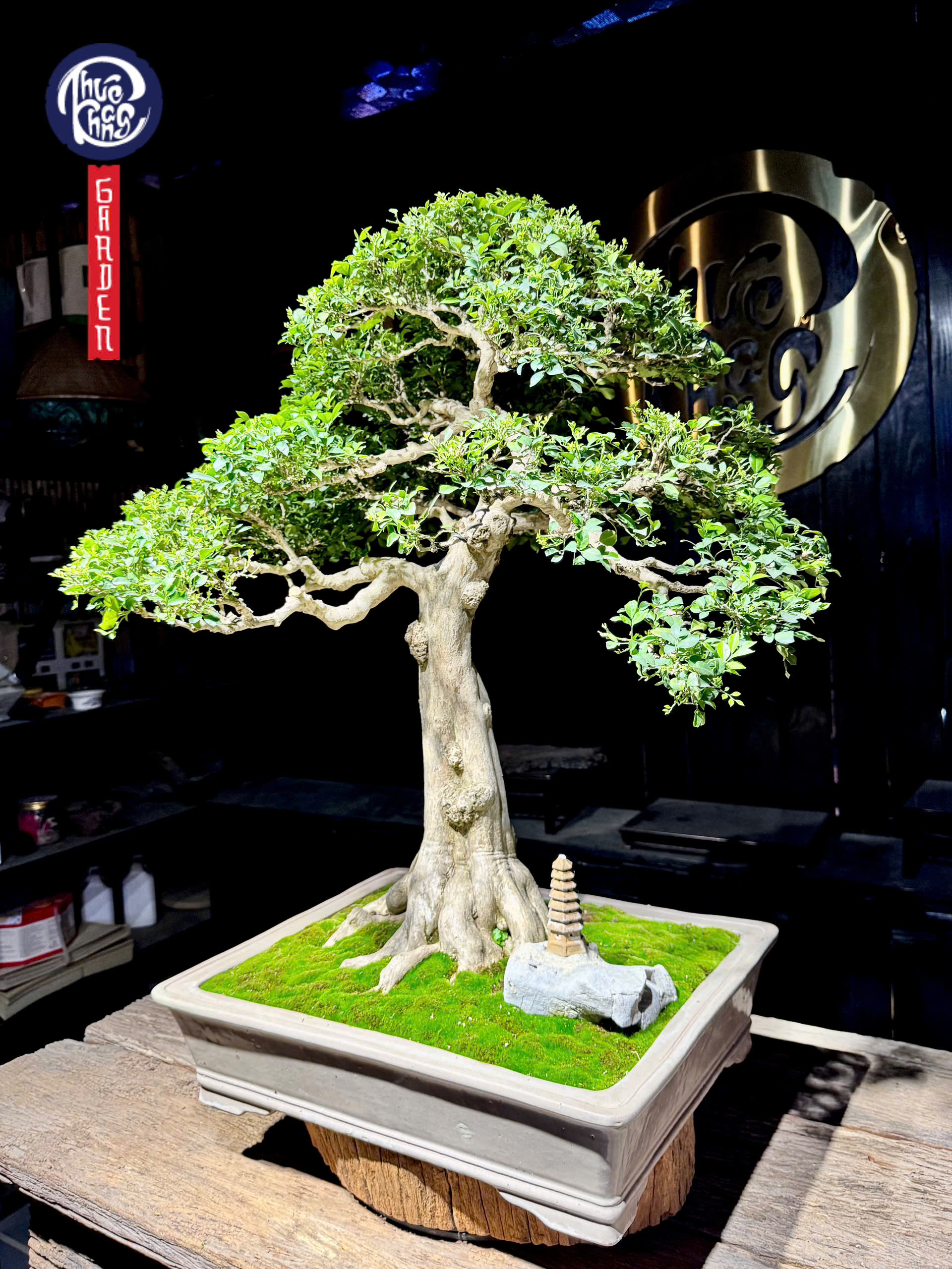 z6512179873107_528285e9cfb6ae5a31f95cf11061b079