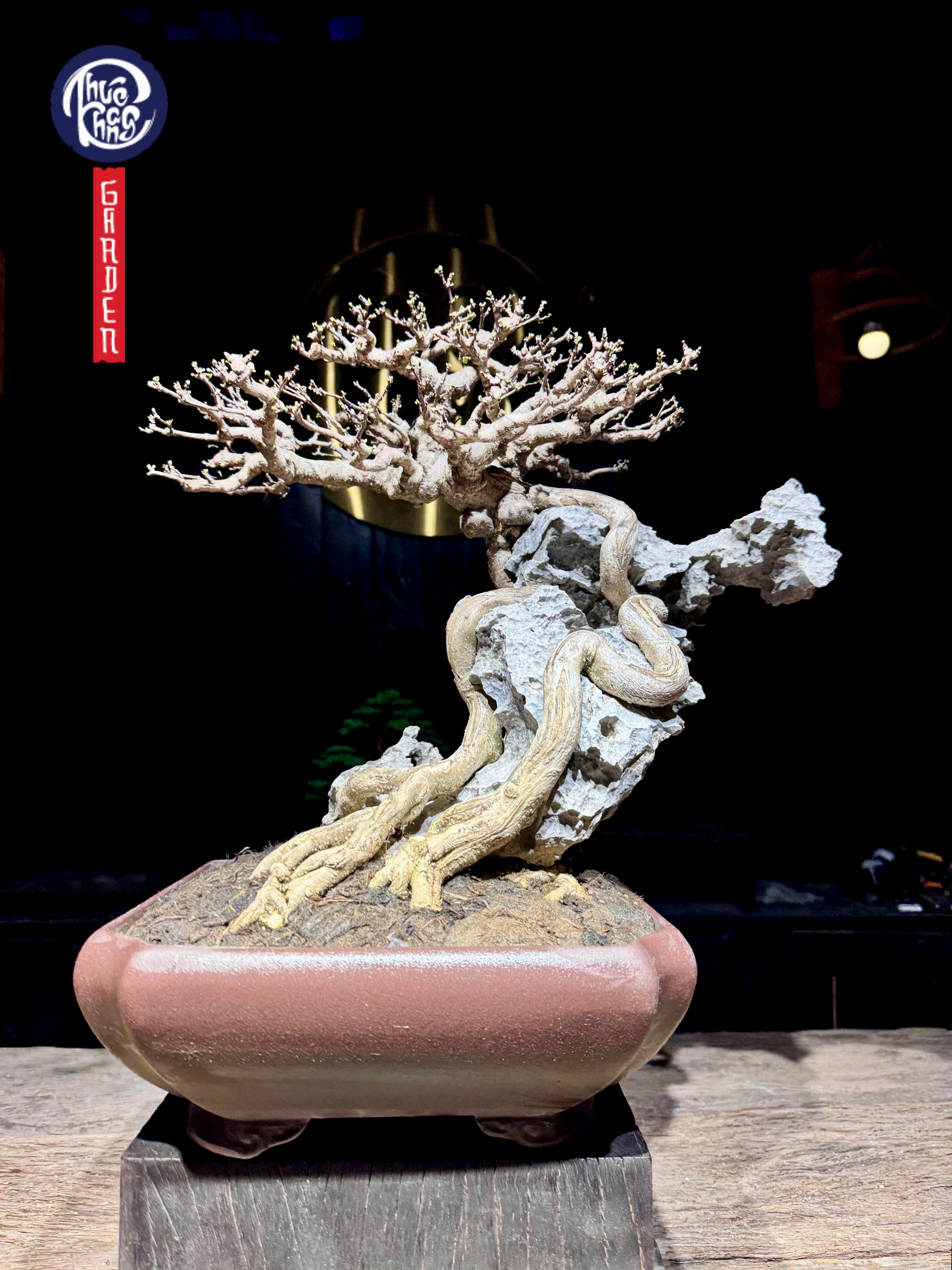 MAI CHIẾU THUỶ ÔM ĐÁ