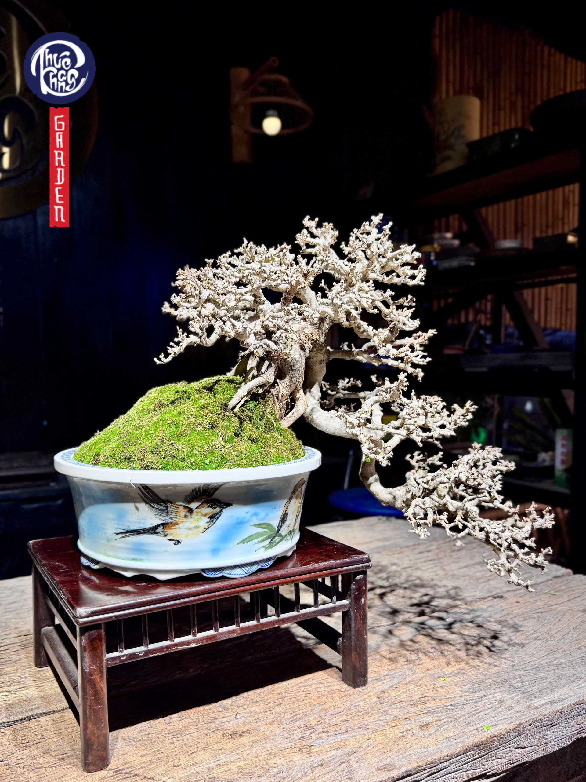 z6452397217852_50557892f120fe4e666be4f98db105dd