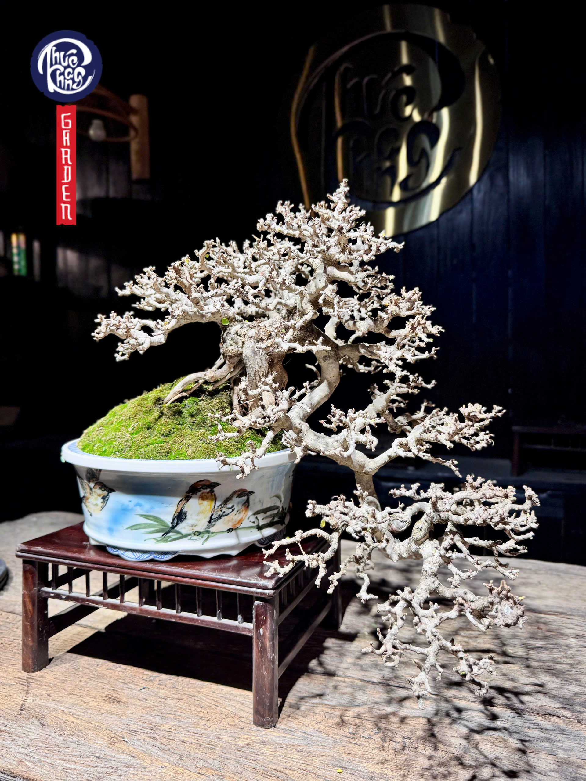 z6452397220292_b7832fe3710887478db184b9e1de2f2f