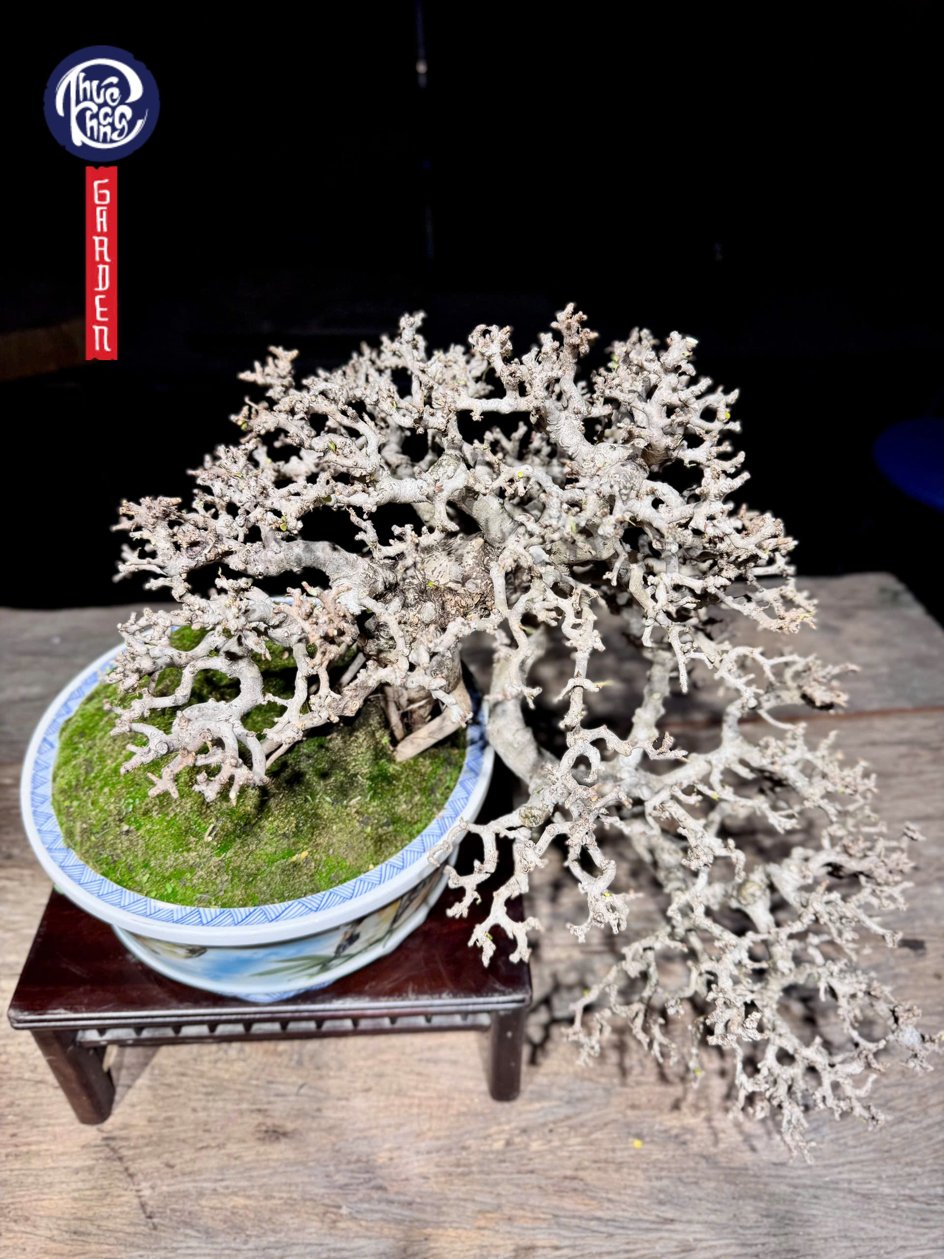 z6452397224170_08005d5f30bb572dc803a9d5a43edeb3