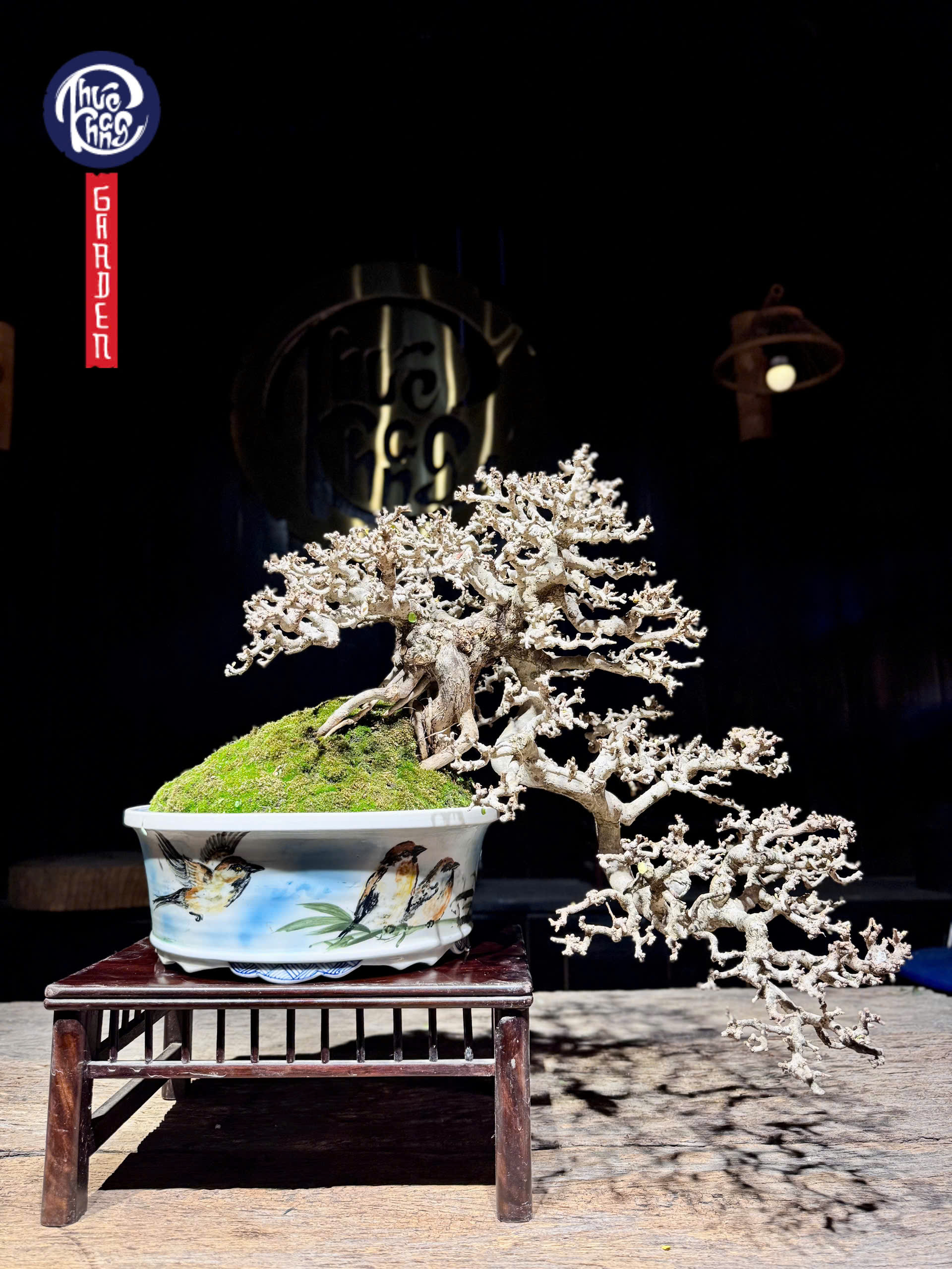 z6452397227161_5c1215acd74a932046f7e346e7d5f574