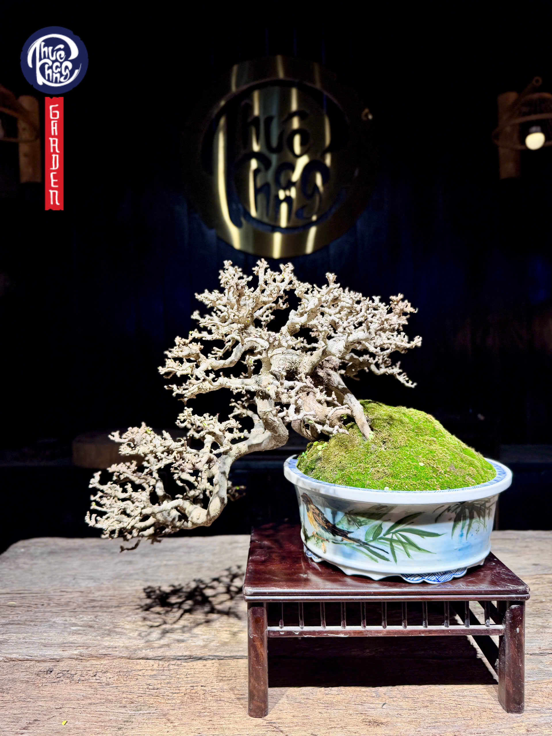 z6452397232802_5db4efa867cd0eb1972708fb275ac478