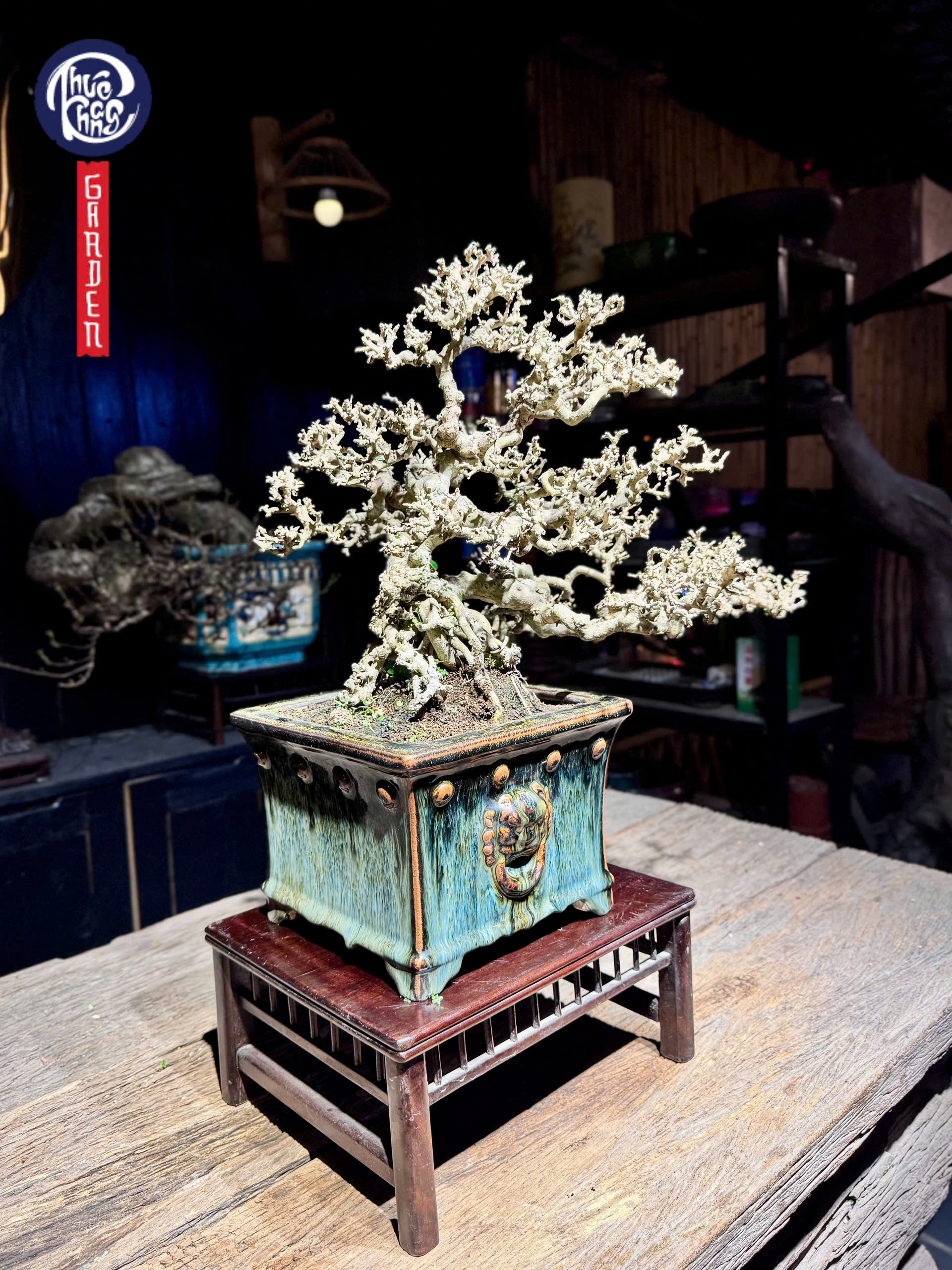 z6456266859327_4dbcb313e480b422b47fe07b425f0573