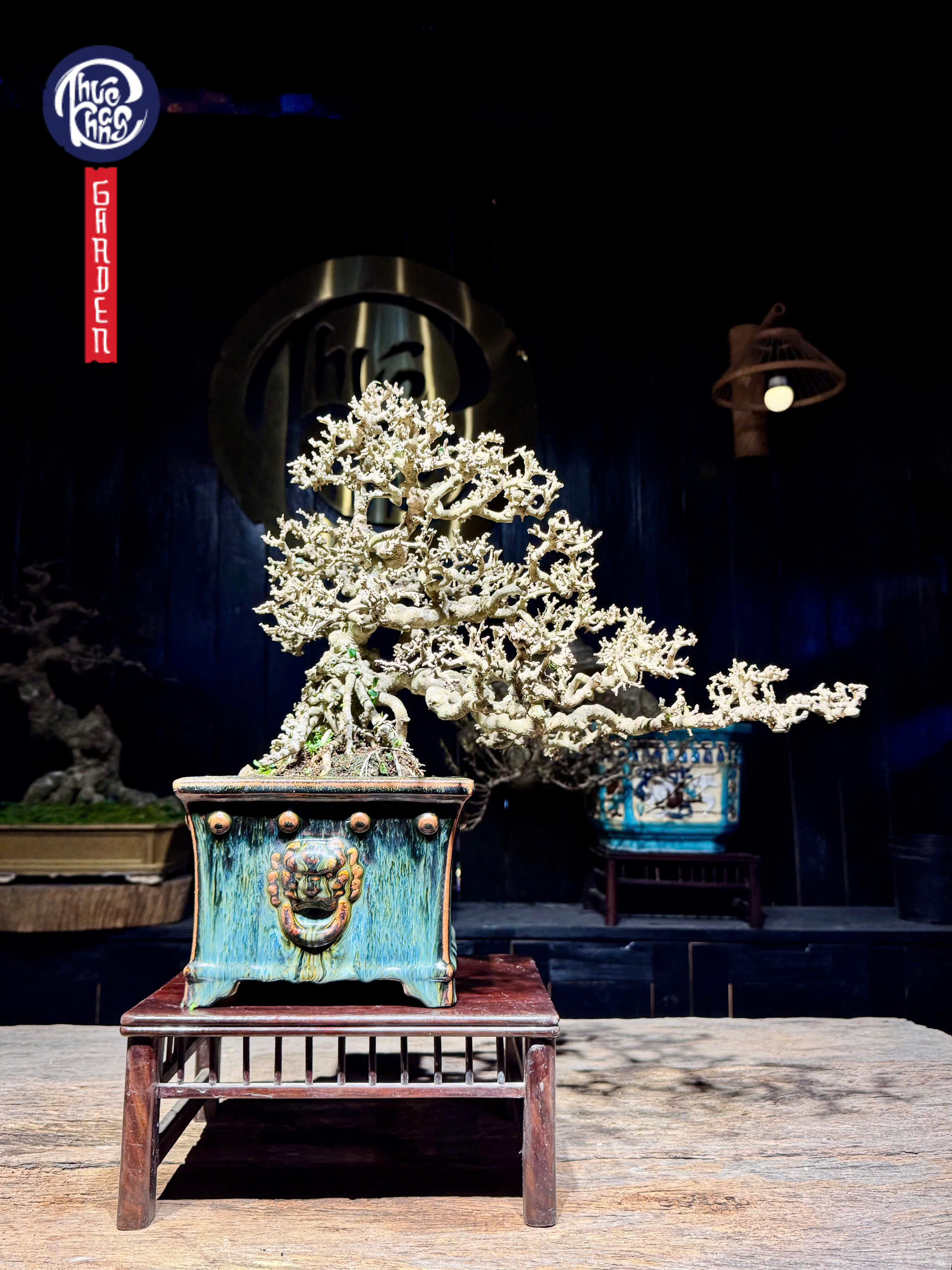 z6456266867218_eb00f846ab4cab5741edb37bbb0e7376