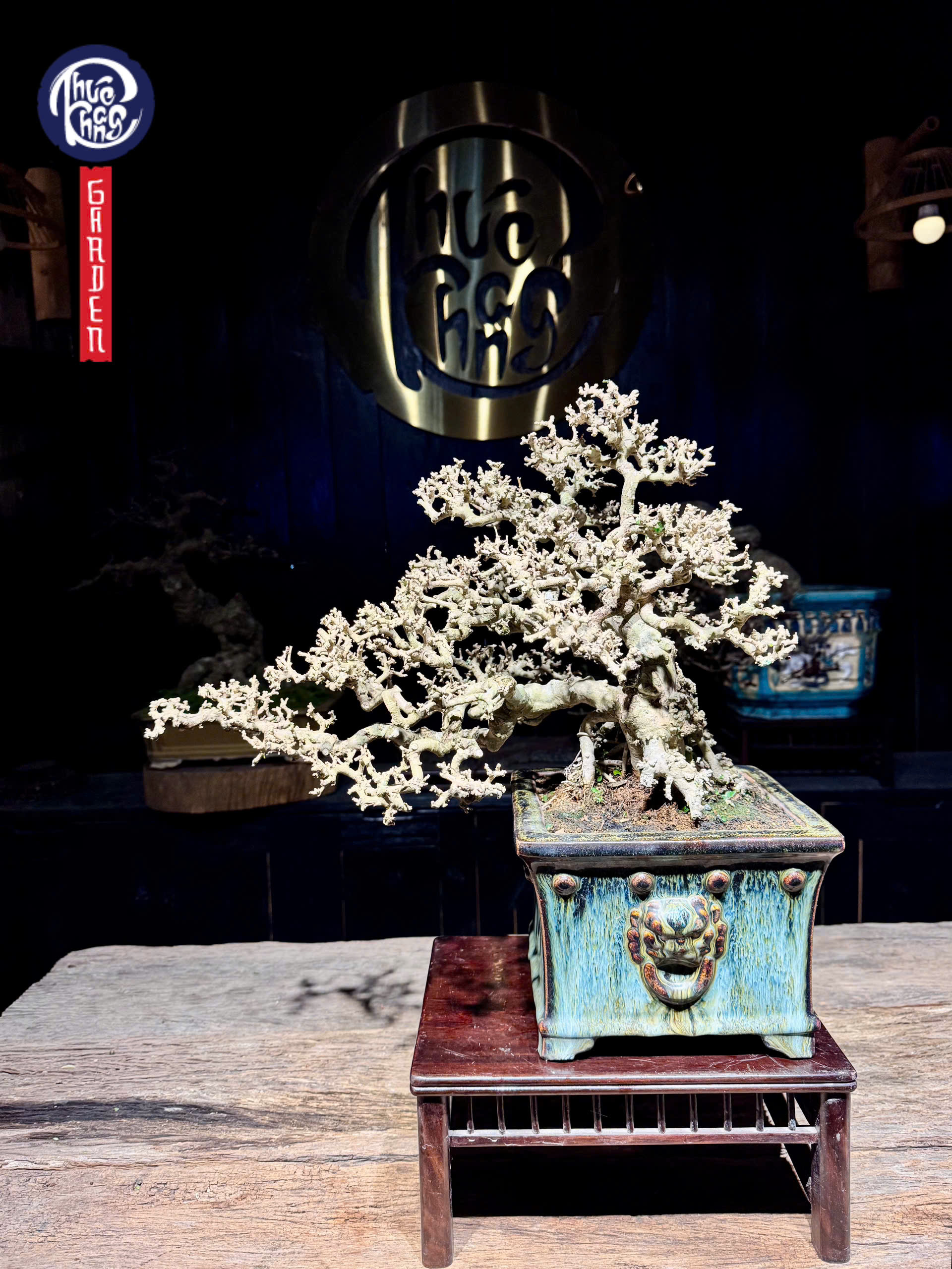 z6456266870889_2927b6cb934e5b4f34c4fea2c10daedb