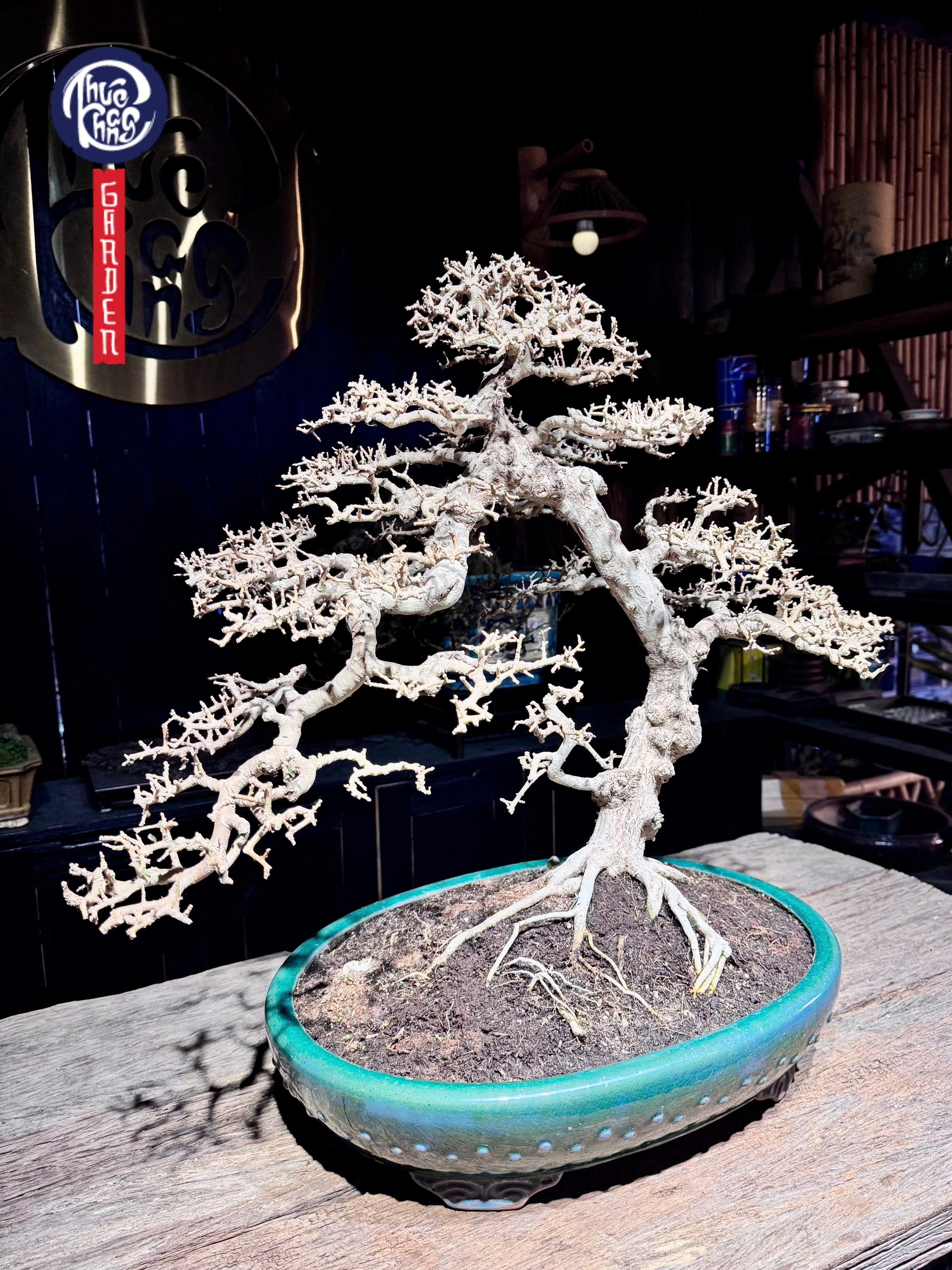 z6463735105945_7212832c4755780ac310ed6cb058005f