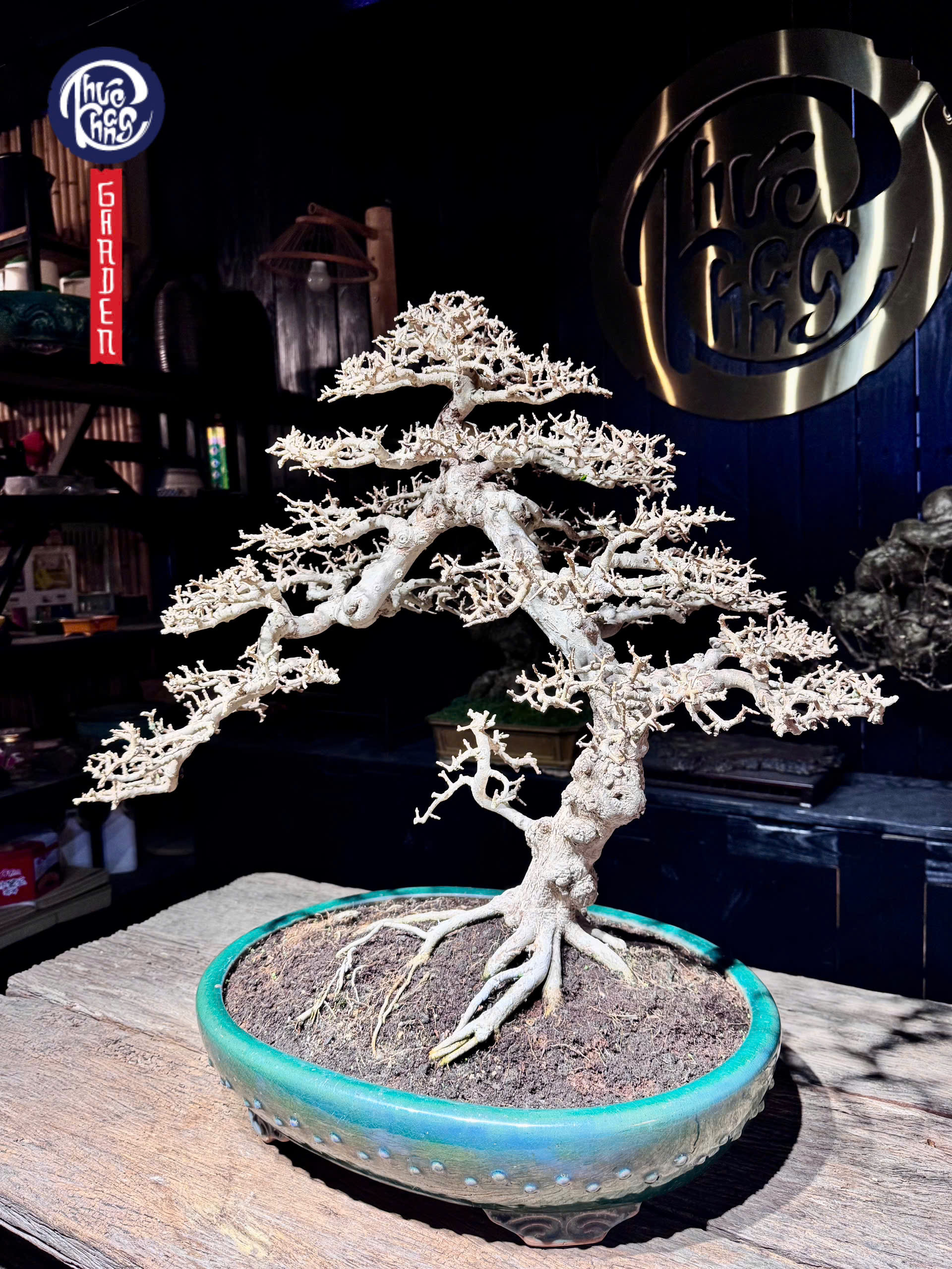 z6463735111191_f1842cf647d47e348d90841215a78852