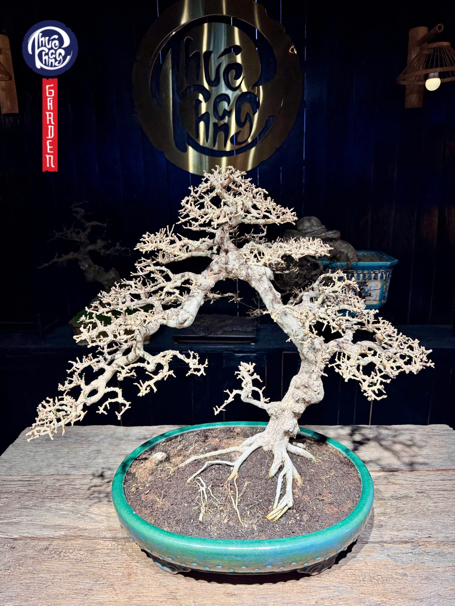 z6463735116974_6be682c5fc236b8f25331940a9e21164