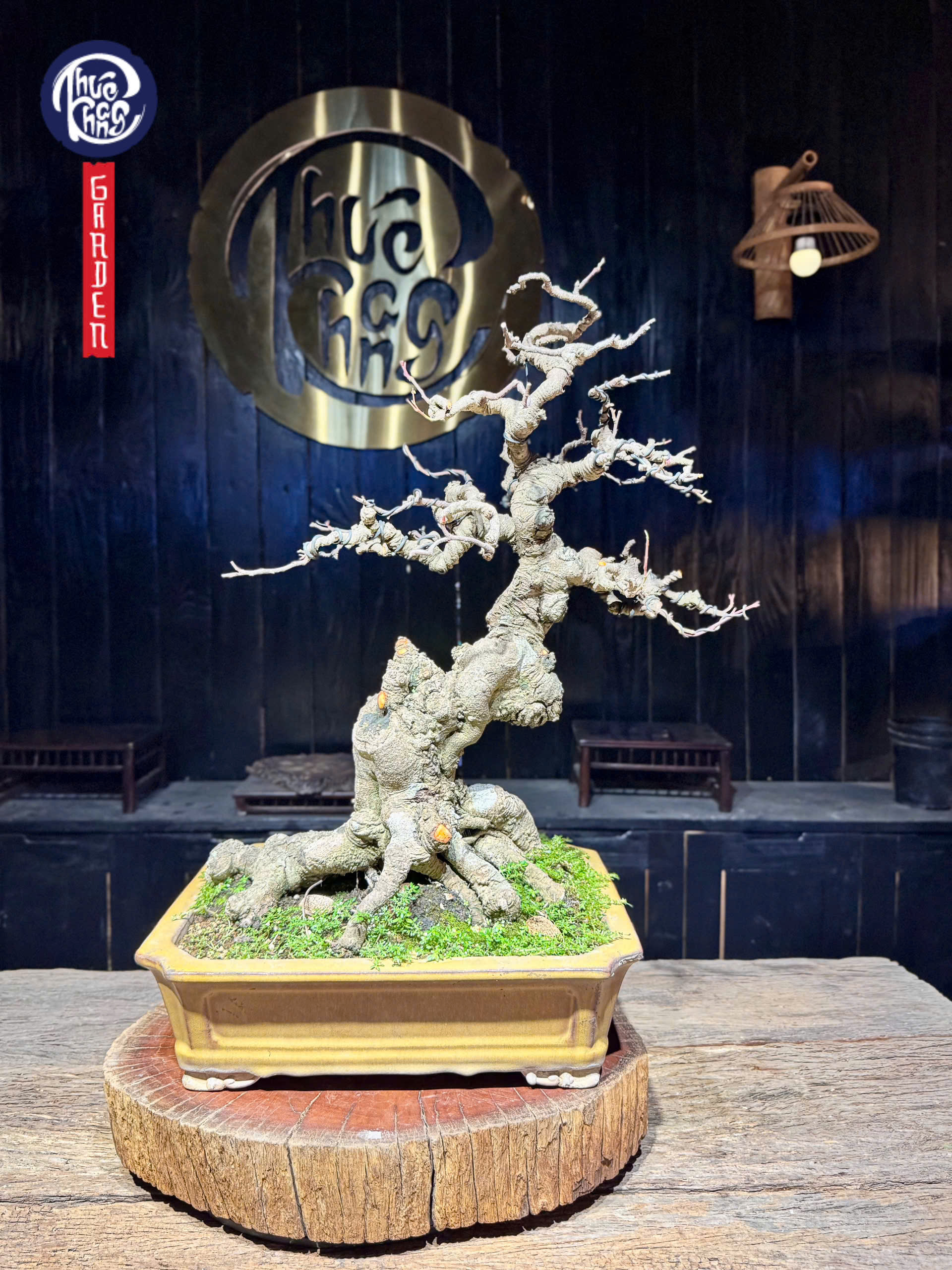 z6493104756100_b63c292013b49e81631208c5fb2f7a1a