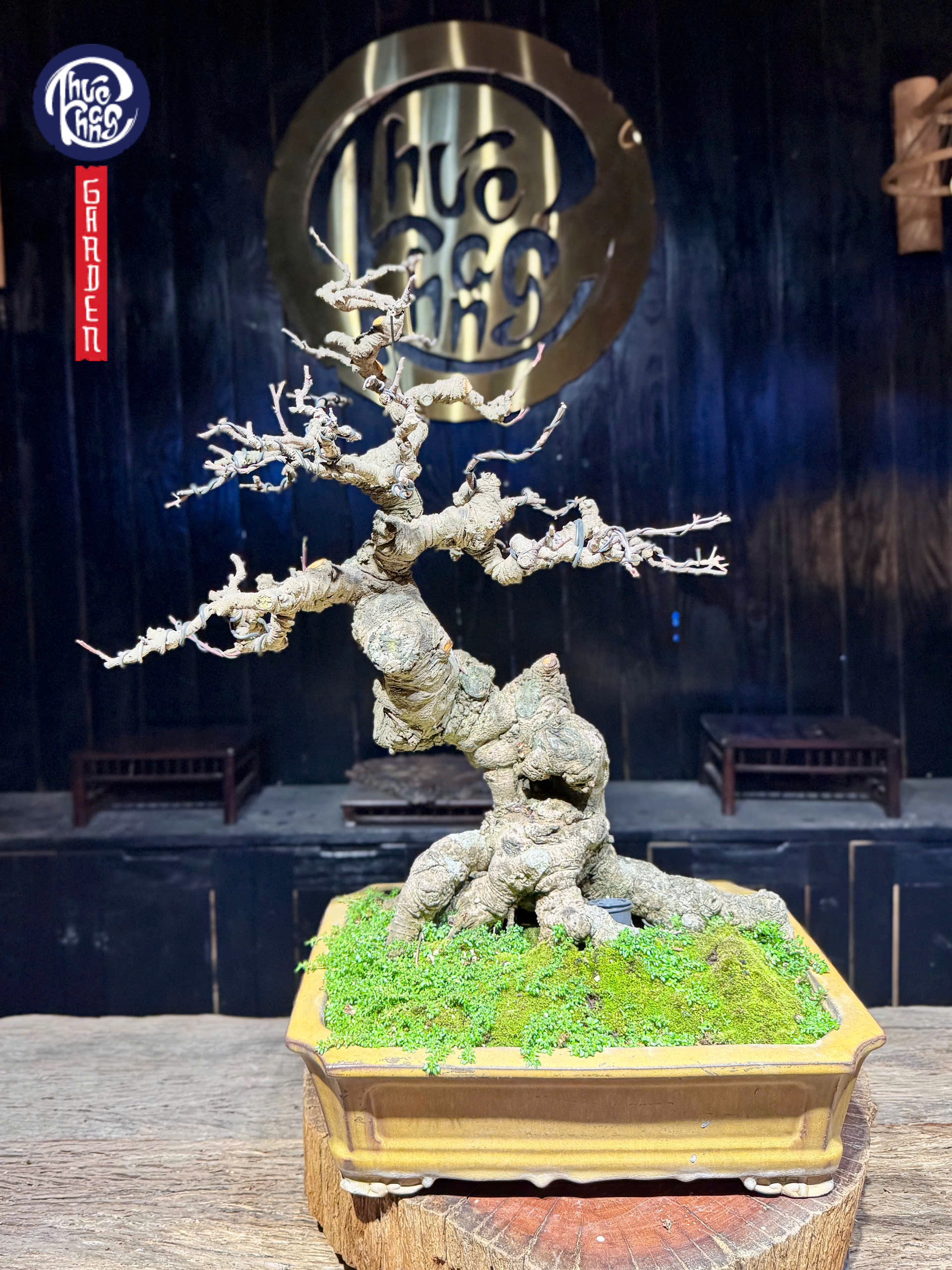 z6493104764689_72fec59bf9eec68bc8ac9e4beff952c1