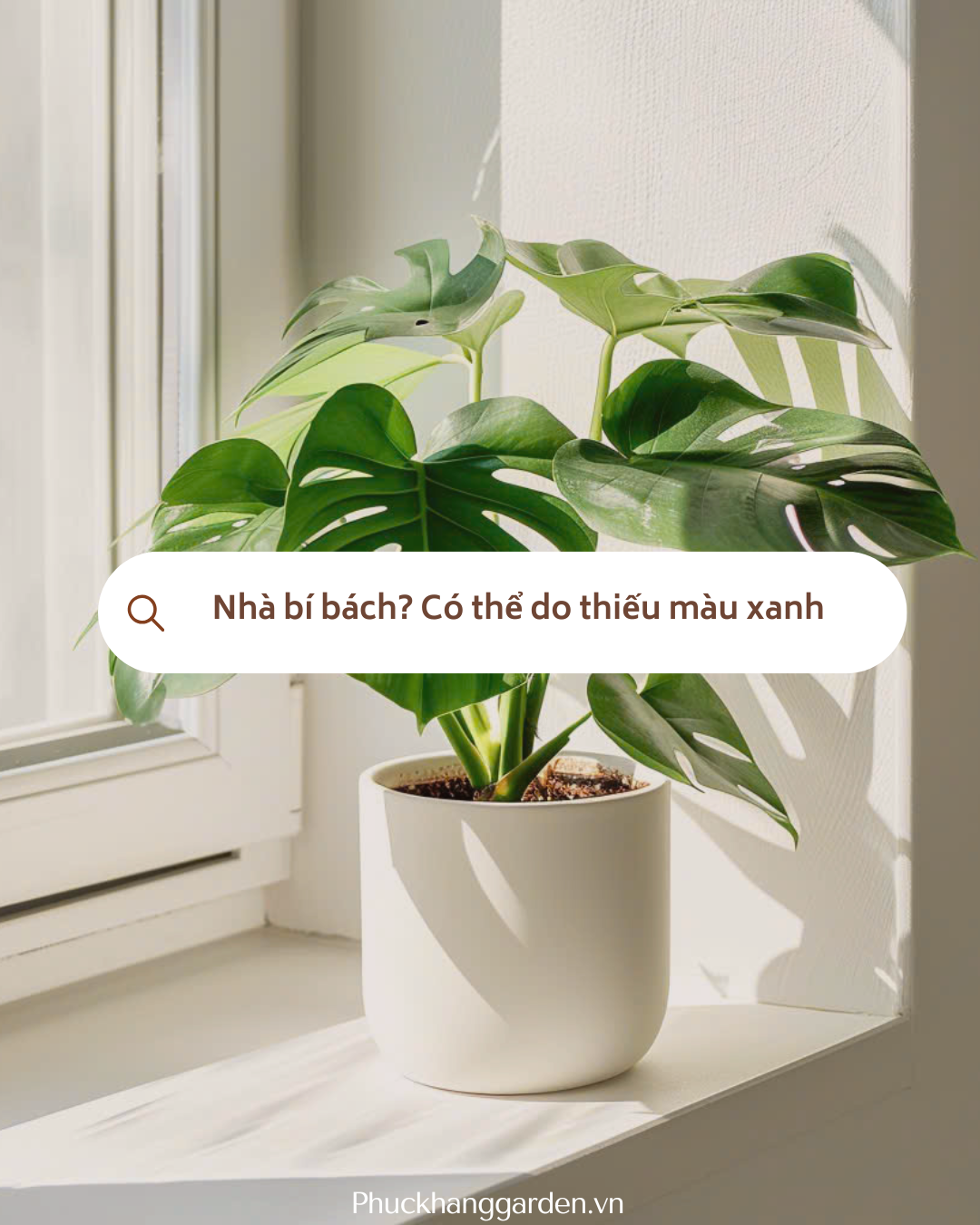 Nhà bí bách? Có thể do thiếu màu xanh