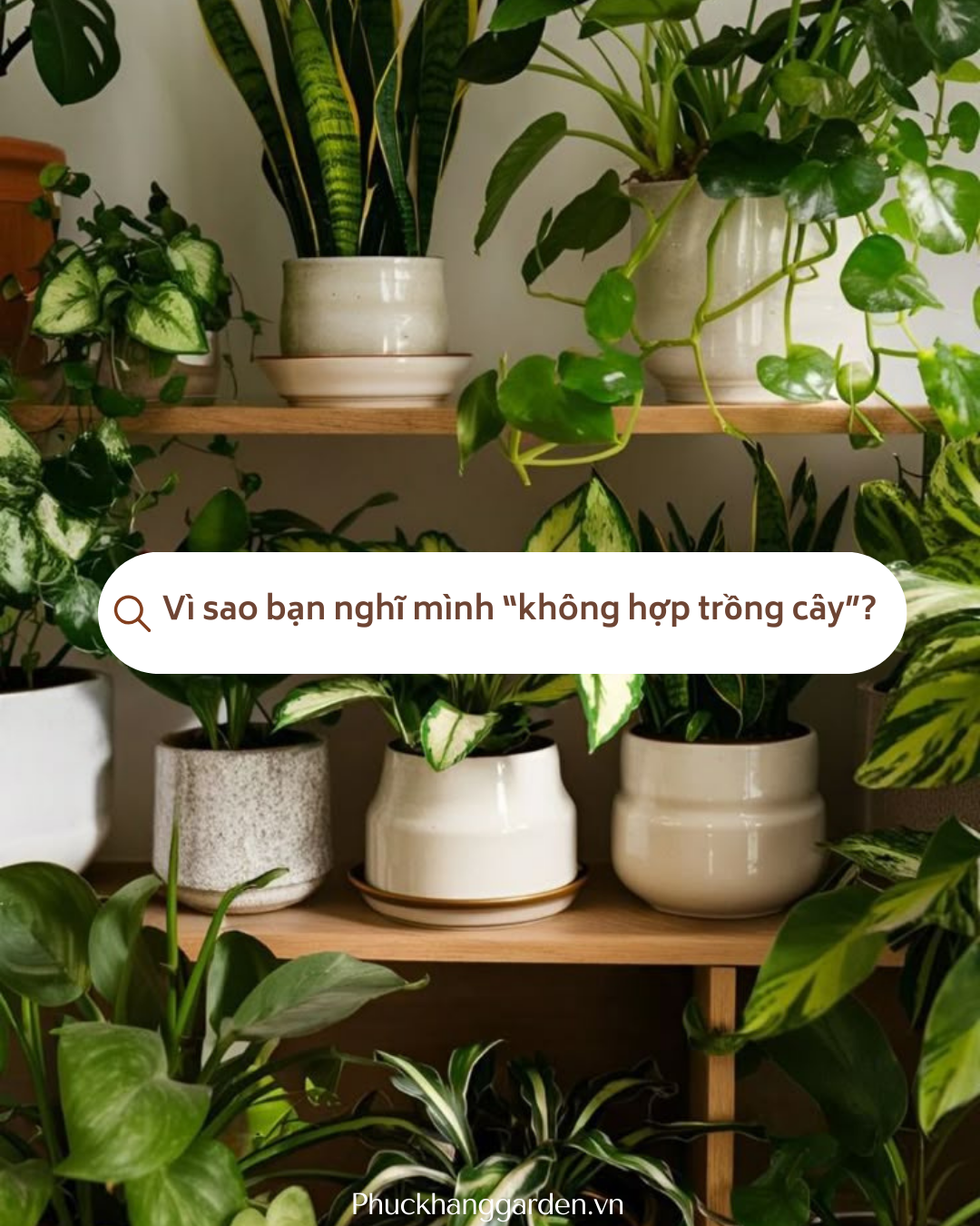 Vì sao bạn nghĩ mình “không hợp trồng cây”?