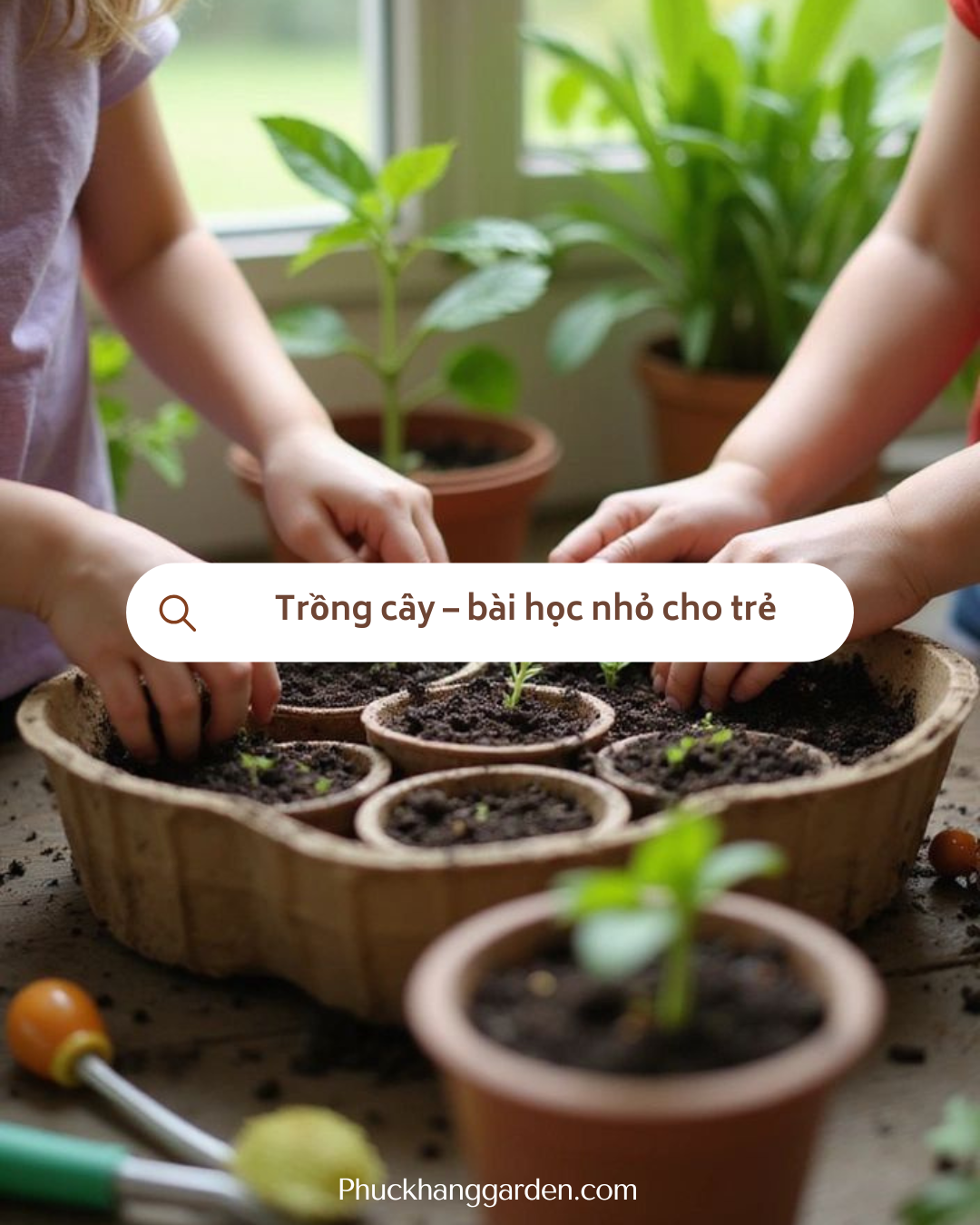 Dạy bé trồng cây: Hành động nhỏ nhưng sẽ là bài học lớn cho bé
