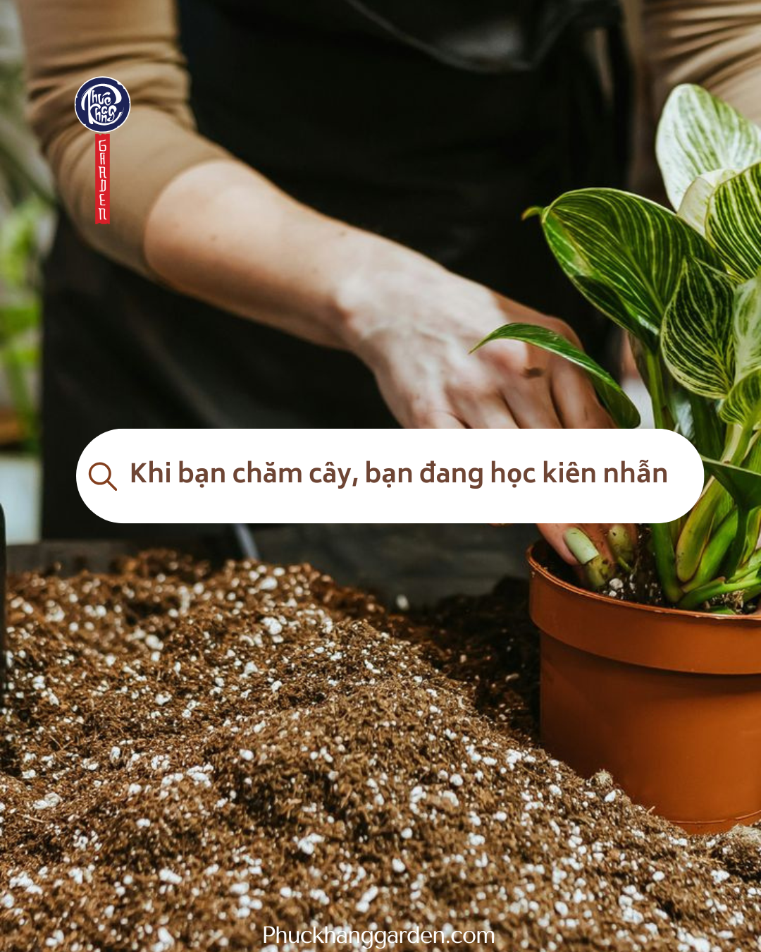 Khi bạn chăm cây, bạn đang học kiên nhẫn