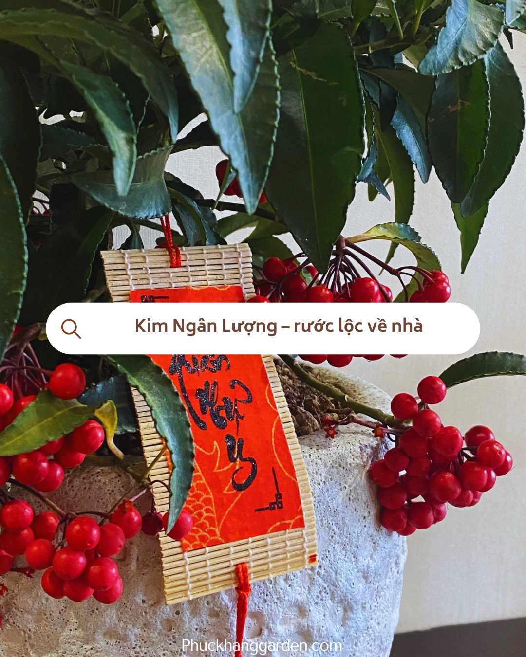 Kim Ngân Lượng – Biểu tượng tài lộc được ưa chuộng mỗi dịp năm mới