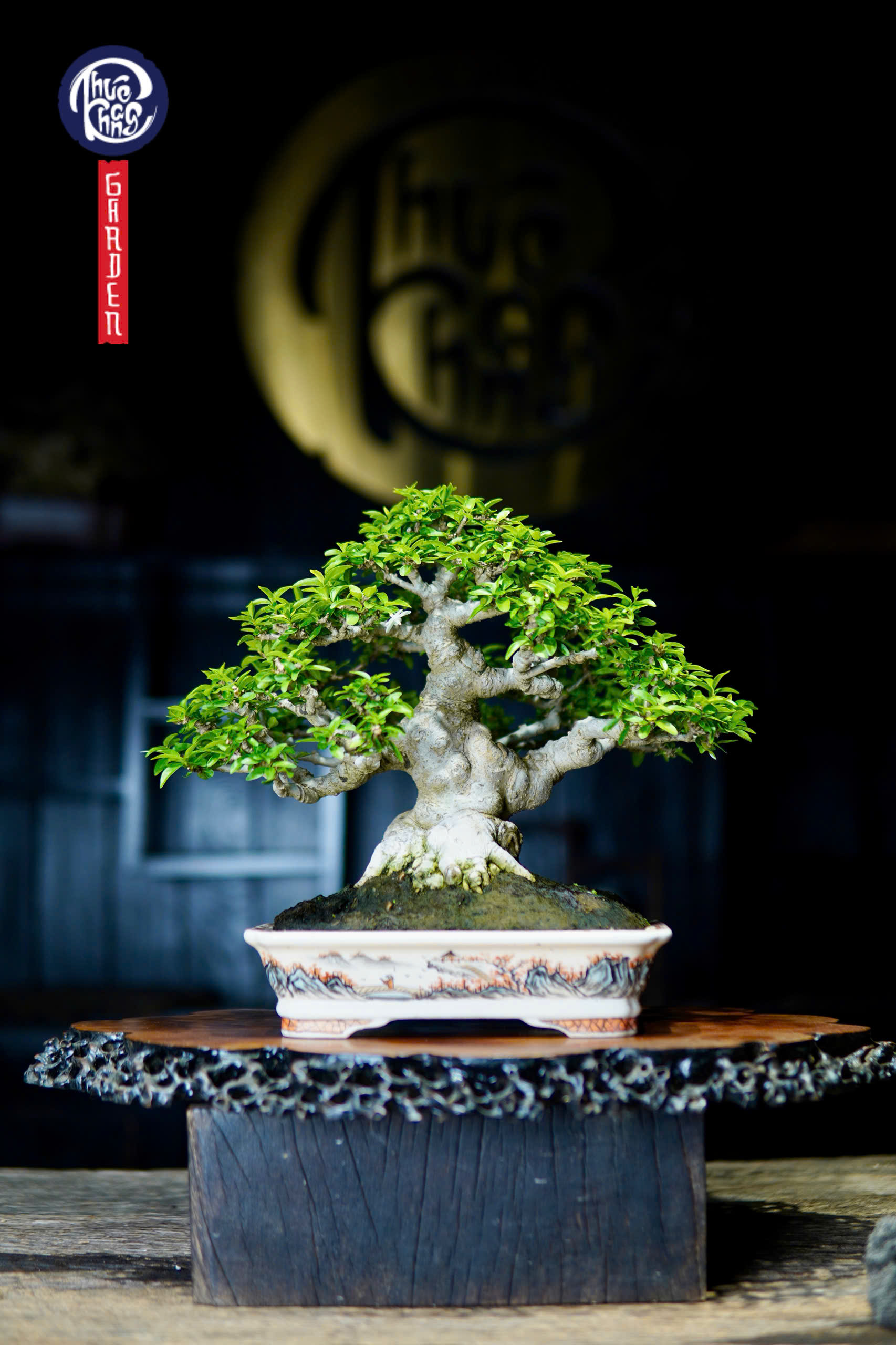 Mai chiếu thuỷ – MCT 2602