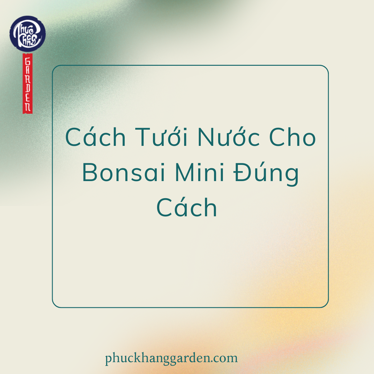 Cách Tưới Nước Cho Bonsai Mini Đúng Cách – Điều Đơn Giản Nhưng Quyết Định Sức Khỏe Của Cây