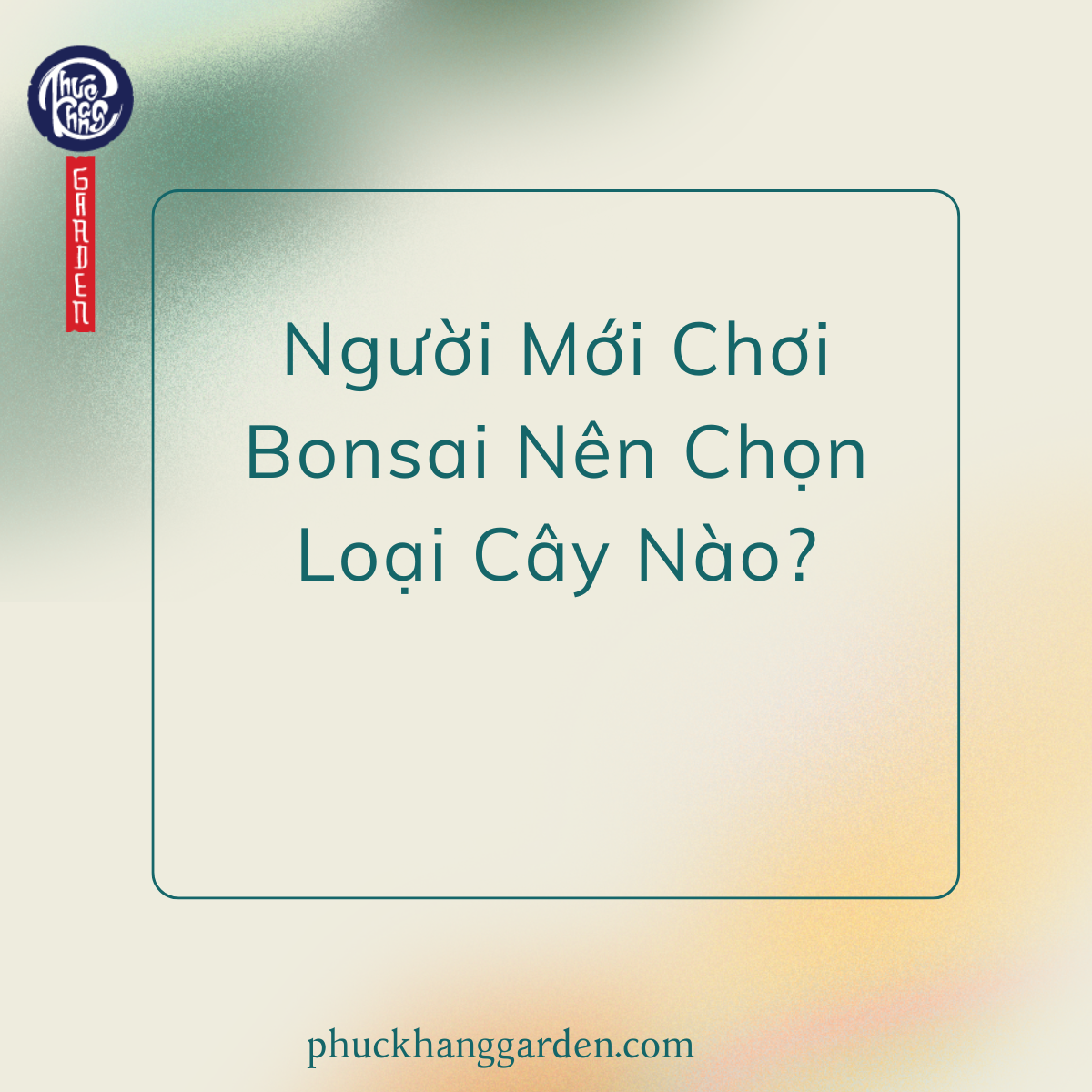 Người Mới Chơi Bonsai Nên Chọn Loại Cây Nào?