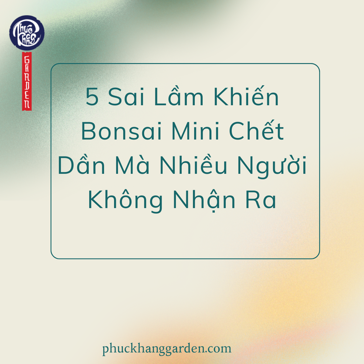5 Sai Lầm Khiến Bonsai Mini Chết Dần Mà Nhiều Người Không Nhận Ra
