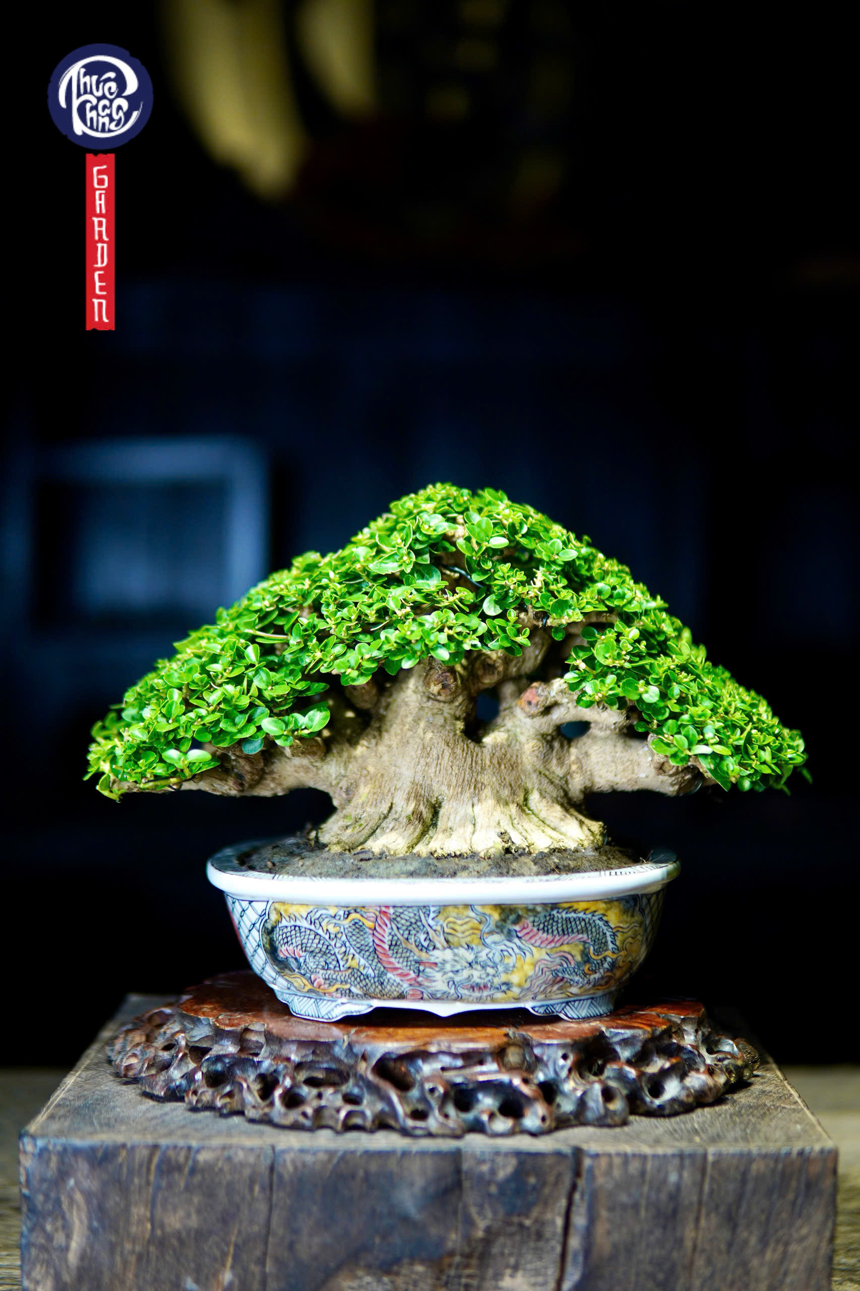 Sam hương trực pin
