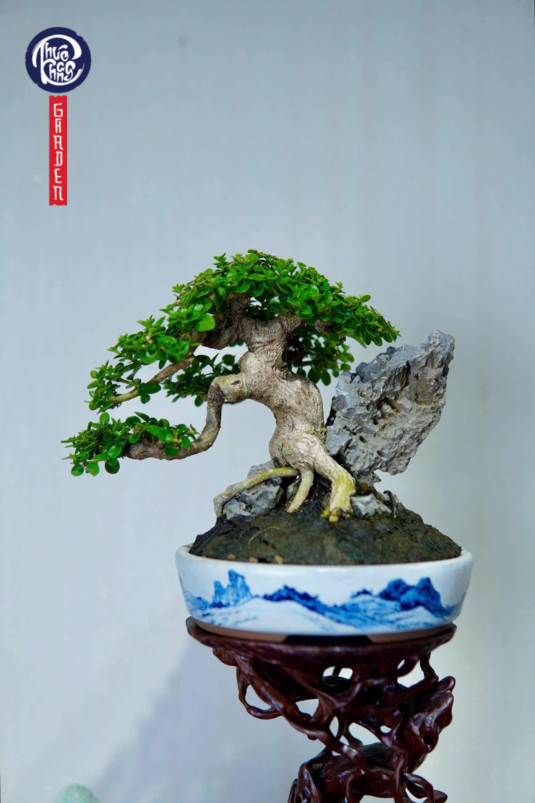 Sam hương ngồi đá